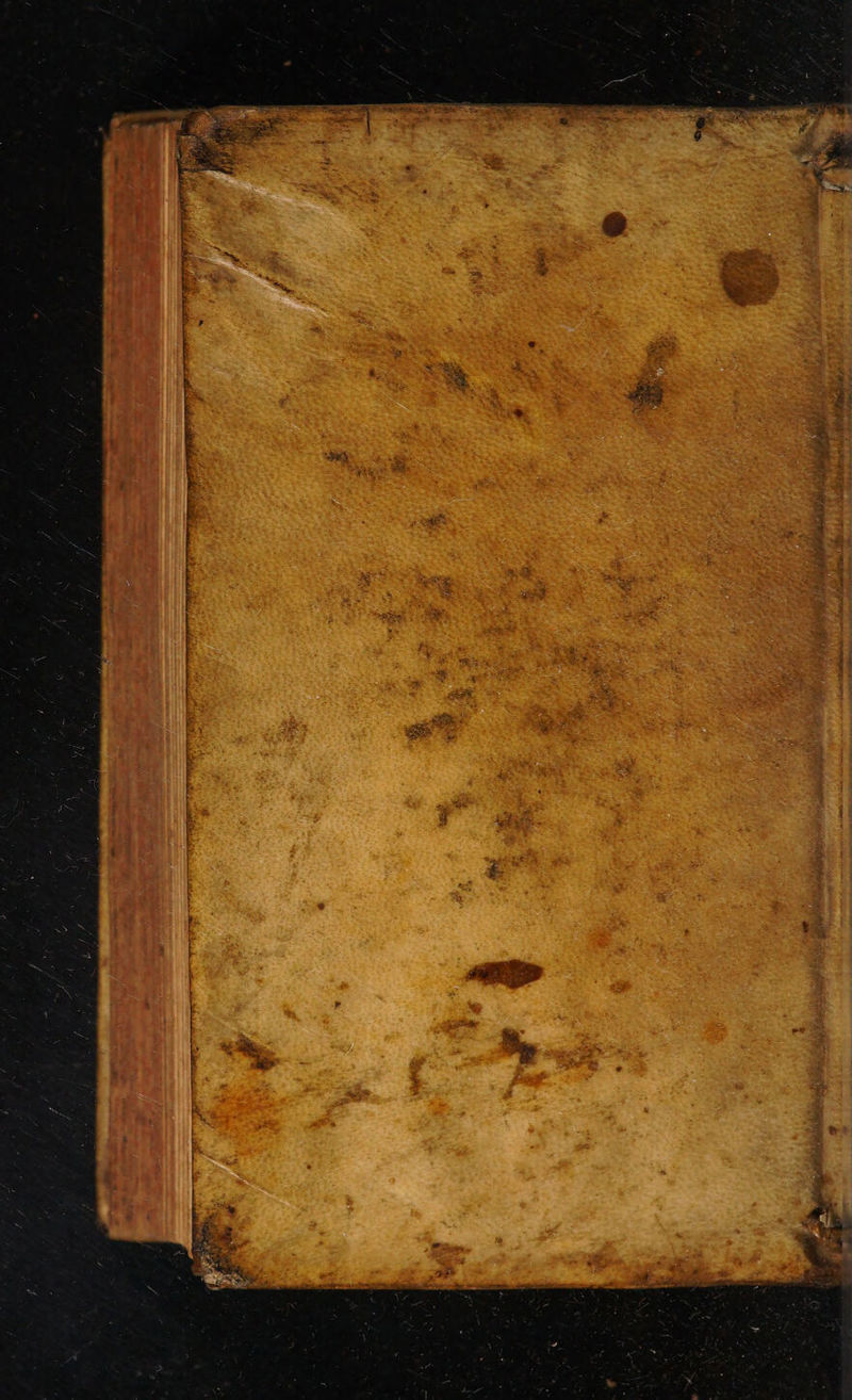 No text description is available for this image