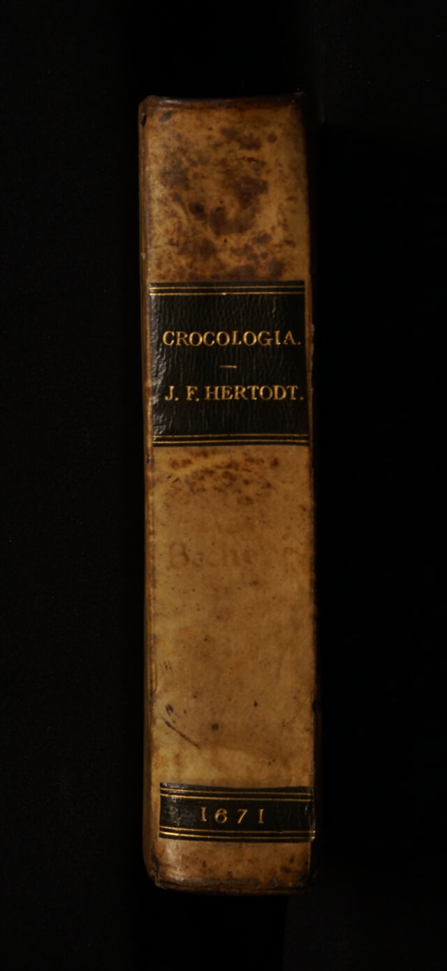 No text description is available for this image