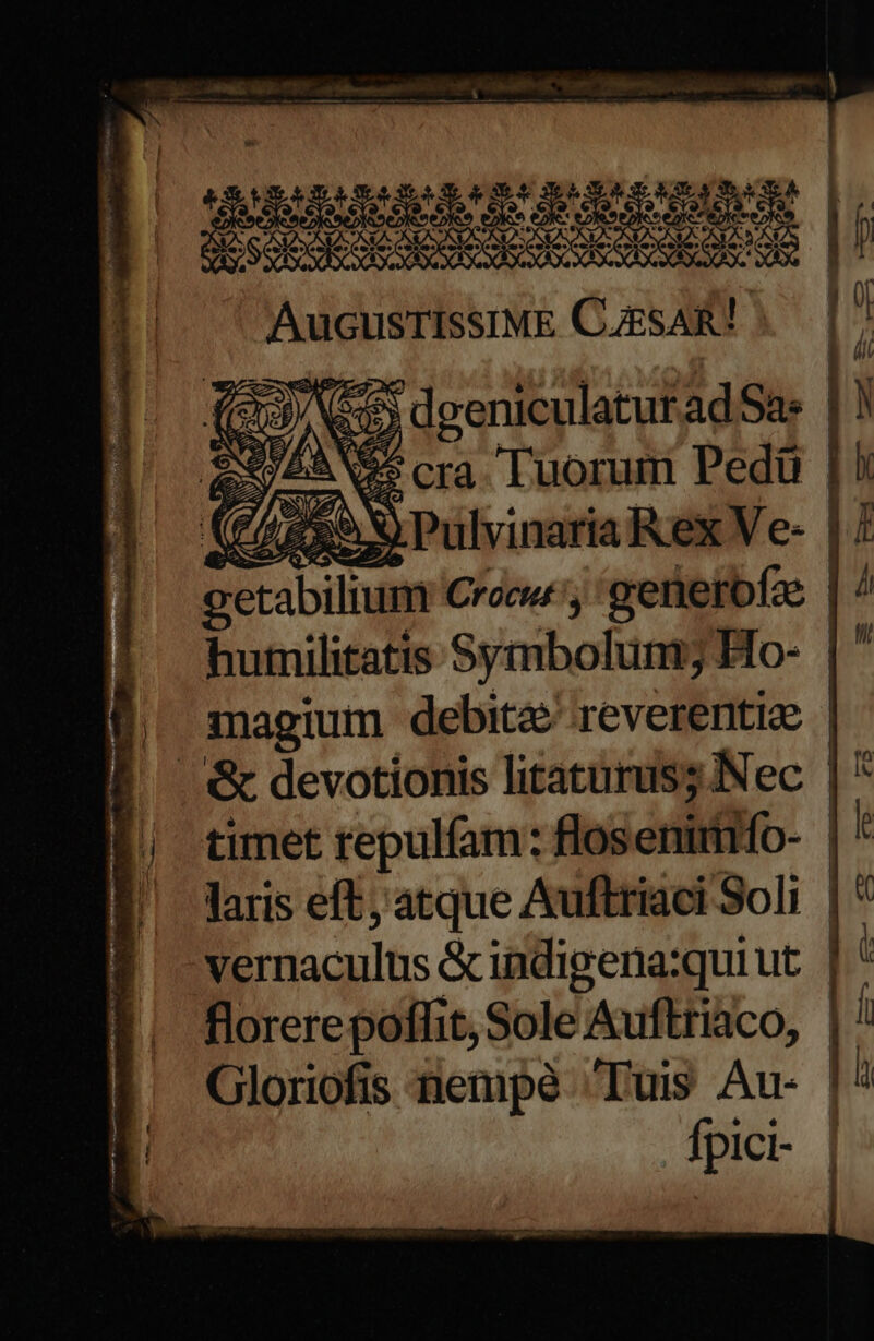 GOOD E VA S338 | | | 55) dgeniculaturadSae |! AX Ws cra. Tuorum Pedüu (f435 V Pulvinaria Rex Ve- | / getabilium Crocuc', getietofze humilitatis Symbolum; Ho- | magium debita? reverentie timet repulfam: flosenimifo- | laris eft; atque Auftriaci Soli | BE naculns &amp;indigena:quiut | florere poffit, Sole Auftriaco, Gloriofis nempe Tuis Au- |' fpici-