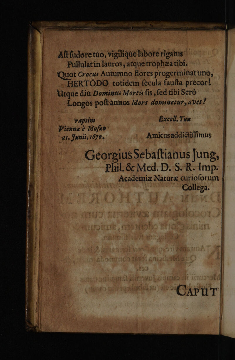 A————— LUNDIUM UTD mes aia * ^ 1:3 :94 Altfuderetuo, vigiliquelaborérigatus | Pullulatin lauros , atque tropha tibi. Quot Crocus Autumno flores progerminat uno; HERTODO totidem fecula fauíta precor! litque dià Dominus Morti fis fed tibi Seró Longos poftannos Mors dominetur, avet? ( |o vapim Excell. Tue W'ienne 0 Mufzb «an ài | gl, Junii. 1670. :. Amicusaddietl(Timus GeorgiusSebaftianus Jung, Plil.&amp; Med. D. S. R. Imp. | Academia Natura curioforum eg Collega. | W