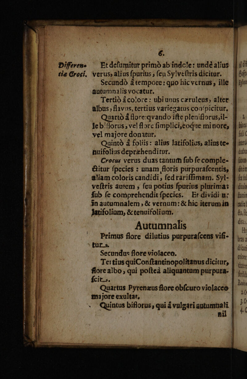 D'ferene tie Grocí. €. verus, alius fpurius ; (eu Sylveftris dicitur. autumnaiis vocatur. vel majore donatur. Jatifoliam, &amp; tenuifolium. : Autumnalis Secundus flore violaceo. fcit... 113jore exultat, biet mter iier fh (ico lamia ndis th bris: iilen frtid Hu j