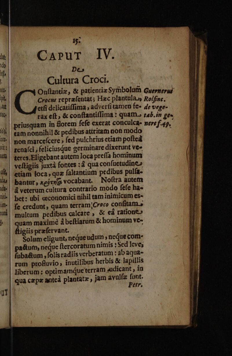 * m Carur IV. De.» Cultura Croci. tam nonaihil &amp; pedibus attritam non modo non marcefcere » fed pulchrius etiarn poftea renafci , feliciusque germinare dixerunt ve» teres.Eligebant autem loca prefla hominum veftigiis juxtà fontes :4 qua confüetudine» etiam loca, quz faltantium pedibus pulfa- bantur ; «gira vocabant. Nof(tra autem 4 veterum cultura contrario modo fefe ha- bet: ubi oeconomici nihil tam inimicum es- fligiis przfervant. Solum eligunt, neque udum ; nedue com füba&amp;um , folis radiis verberatum : ab aqua- rum profluvio, inutilibus herbis &amp; lapillis Petr,