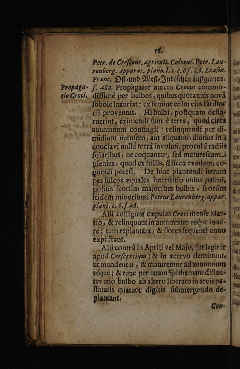 Petry. de Crefcent, apvicult, Coleruf. Petr. Lau-. venberg. appart, planb.l, 1. c. 6f. 4.6. Erafm. | Franc, $y (tuno QUefoSynbi(dyn &amp;uffgarter. | Prop4ga- f. 432. Propagatur autem Crew commo- | tio Croci,. diffe per bulbos ; quibus quotannis. nová | fobole luxuriat: ex femide enim ejustardior | eft proventus... Hi bulbi; poftquam deflo» | raerint , eximeridi (ünt € terra, quod citca autumnum contingit : relinquendi. per di- | midium rnen(em ; abt aliquanto diütius i153 conclavi nallá terrá involuti; procul á radiis folatibus; necoqtantur, fed maturefcant. 5 plenius; quod ex folis, fi (icca evadant, co» gaofci poteft. De hinc plantandi iterum ver fulcos equales Tuterftitio anius palmis pofitis feorfim mriajoribus bulbis » feoríum idem minoribus; Perzue Laurenberg.Appar. plaut. c. 6. f.40. Alii colligant cz pulas Croci enetife Mara tio, &amp; relinquutitin autumnum bsáne inae- re: tomreplantánt; &amp; floresfequeuti anno expectant, Aliicortrà in, Aprili vel Majo, (it fepitáe apüd Crefcentiunt ) &amp; in acervo detnittunt, ut mundentur ; &amp; maturentur ad attain ufque : &amp; tunc per utjam Spithamam diftan- tesuno bülbo ab altero liberato in áreispa« fiinatis quatuor digitis fübmergendo de- plantant. Teen ovmarcduiu ae dires: LT —— Con-