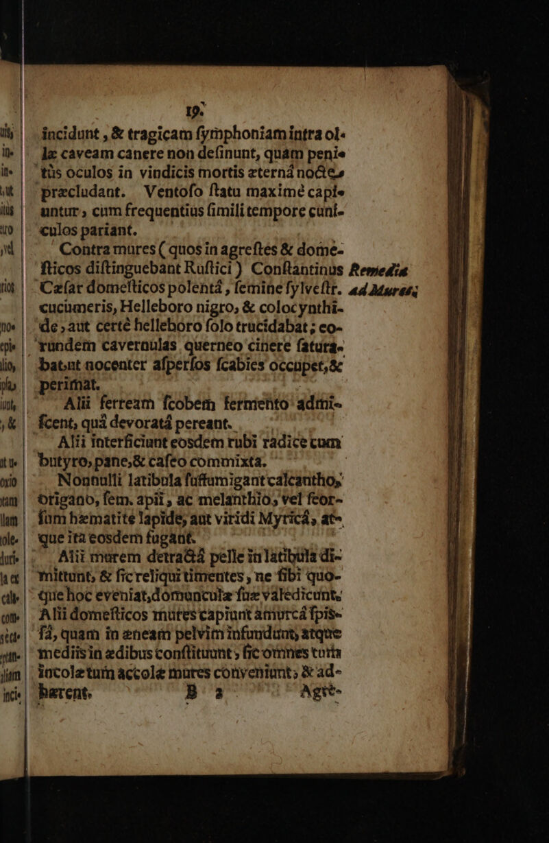 incidunt , &amp; tragicam fymphoniam intra ol« lx caveam canere non de(inunt, quam penie precludant. Ventofo ftatu maxime capie untur ; cum frequentius (imili tempore cuní- culos pariant. Contra mares ( quos in agreftes &amp; dorme- «ucümeris, Helleboro nigro; &amp; colocynthi- de ; aut certe helleboro folo trucidabat ; eo- batit nocenter afperfos fcabies occupet, &amp; perimat. | Alii ferream fcobem ferniento' admi- Alii interficiunt eosdem rubi radice cum butyro, pane; &amp; cafeo commixta. : Nonnulli latibula füffamigantcalcanthos origano, fem. api ; ac melanthio; vel feor- que ita eosdem fugant. Lin Alii murem detra&amp;á pelle ialatibula di- que hoc eveniat,dómuncula fue valedicunt, Alii domefticos rnutes capiunt àtriurcá fpis- fà, quam in 2neam pelviminfundunt; atque mediisin edibus conflituunt ; fic omnes toris incolzturn accole mures cónyenint; &amp; ad- barent, Ba Agtt-