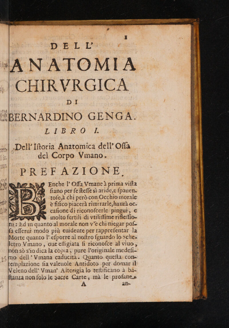 ANATOMIA. ;}CHIRVRGICA DI BERNARDINO GENGA. I LIBRO CE scita + .Dell’Iforia Anatomica dell’ Ofla del Corpo Vinano. PREFAZIONE. ina Enche 1’ Offa Vmaneà prima vifta i fiano perfefteffesì aride,e fpauen. tofe;à chi però con Occhio morale è fifico piacerà rimirarle,haurà. oc. [Sii {9 fi cafione diriconofcerle: pingut, € EI SÒ inolto fertili di vtiliffime rifleffio» din quanto al morale non v’è chi niegar pofe n:e fa eflerut modo più euidente per rapprefentar la Morte quanto l’.efporre al noftro {guardo lo sche letro Vmano, que eftigiata fi riconofce al viuo, non sò s'ia dica la copia; pure l'originale medefi- ; mo dell? Vmana caducità. Quanto. quefta: cone ‘ femplazione fia valeuole Antidoto -per domar il Veleno dell’ Vman' Alterigia lo teftificano è ba- Ranza non folo le Sacre Carte; mà le: profanes | alle | LI | LÌ
