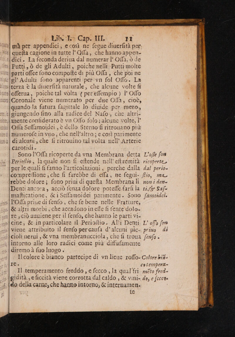 i mà per appendici, e così ne fegue diuerfità per Sul: ill quefta cagione in tutte Offa, che hanno ‘appen- dici. La feconda deriua dal numerar Offa, ò de ti Putti., ò de gli Adulti , poiche nelli -Putti molte ì rin parti olfe (ono compofte di più Offa, che poi ne ‘gl Adulti fono apparenti eri vn fol Offo. La wterza è la diuerfità att che alcune volte fi sofferma. poiche tal volta (per effempio ) P Offo tiCoronale viene numerato per due Oa, cioè, quando la futura fagittale lo diuide per mezo, ml giungendo fl fino alla adi del Nafo:; che ;altri- int mente confiderato è vin Offo folo ; alcune volte, ?° i cui OAa Seffamoidei, è dello Sterno fi ritrouano più dj mumerofe in vno, che nell'altro; e così parimente mal di alcuni, che fi ritrouino tal volta nell’ Arterie | carotidi. i Sonol’Offa ricoperte da vna Membrana detta L’'offe fo ly &amp; Per of la quale non fi eftende nell’eftrémità ricoperte, ‘perle quali fifanno l’articolazioni, perche dalla 42! perio- ; ilcompreflione , che fi farebbe di ela, ne fegui- flio, ma Irebbe dolore; fono priui di quefta Membrana li n0r i den- iDenti ancora, ac ciò fenza dolore potefle farli la 11,5° Saf= imafticatione, &amp;1Sefamoidei parimente. Sono fanzoidere Wi KOAa prive di fenfo; che fe bene. nelle Fratture, 8 alpri morbi, che accadono in efle fi fente)dolo- re; ciò auniene per Il fenfo, che hanno ic parti vi- n]cine, &amp; in particolare il Perioltio. Alli Denti L’ offo fon ne] viene attribuito il fenfo percaufa d’alcuni pic- privo di iilcioli nerui , &amp; vna membranucciola, che fi troua /enfo. ; {intorno alle loro radici come più diffufamente n bero: à fuo luogo . |. Ilcoloreè bianco partecipe di vn lieue roffo- Colore bia- TC coltempera= Il temperamento freddo , e fecco , Ja qual fri méto fred in Igidità , eficcità viene corrotta dal cald O, &amp; vini= de, e feccae dr, hi della carne, che hanno intorno, &amp; internamen. I | Ì i re