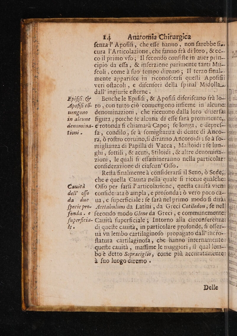 eg 10 e prspRtiNigRO SLI ai Ri st La bi EEE RIA ZI FTT SARESTI r à n st E ai i È mea 7 ; ® È e doi ri Anatomia Chirurgica fenzal’ Apofifi, che effe hanno, non farebbe fis; | cura l’Articolazione, che fanno frà diloro, &amp;ec-- co il primo vfo; Il fecondo confifte in aner prin- cipio da effa, &amp; inférzione parimente tanti Mu. È fcoli, come à fuo tempo diremo ; Il terzo final. mente apparifce in riconofcerfi quetti Apofifii È veri oftacoli, e difenfori della fpinal' Midollan. dall’ ingiurie efterne . Epiff.&amp; Benchele Epififi, &amp; Apofifi diferifcano frà lo--| Apofifi cò- ro, con tutto ciò conuengono infieme in alcune: uengono denominazioni ; che ricenono dalla loro divierfaa in alcune figura ; poiche fe'alcuna di effe farà promimente,, fmi denomina- &amp;rotonda fi chiamarà Capo; felonga, e depref- 1 un fioni. fa, condilo, fe è fomiglianza di dente di Anco-- Bk ra, ò roftro coruino,fi diranno Aricoroidi : feà fo-- | miglianza di Papilla di Vacca, Maftoidi : fe lun-. chi, fottili, &amp; acutr, Stilordi, &amp; altre denomirîa-- bi zioni, le quali fi effamineranno nella particolare: fhhi confiderazione di ciafcun’Offo. Ri Rettafinalmente è confiderarfi il Seno, ò Sede;, Ta che è quella 'Gawità nella quale fi riceue qualche: My, Cauità —Offo per farfi Farticolazione, quetta cauità viemi Ji dell’ offo confiderata ò ampla, e profonda: ò vero poco ca-- da due va,e fuperficiale; fe farà nelprimo modo fi dirài|j fpecie proe Acetabuluna da Latini, da Greci Cotiledon ; fe nell fonda. e fecondo modo G/ene da Greci, e communemente? fi, fuperficia- Cauità fuperficiale; Intorno alla circonferènza? am, de » di quette canità, in particolare profonde, fi otfer--ti,;. i ua vn lembo:cartilaginofo propagato dali'ifcro--}, ftatura cartilaginofa y che ‘hanno internamente» mn, ‘ quefte cauità, maffime le maggiori ; il qual lem=- fn... bo è detto Sopraciglio,s ‘come più accuratamente: à fuo luogo diremo è © Ni DI