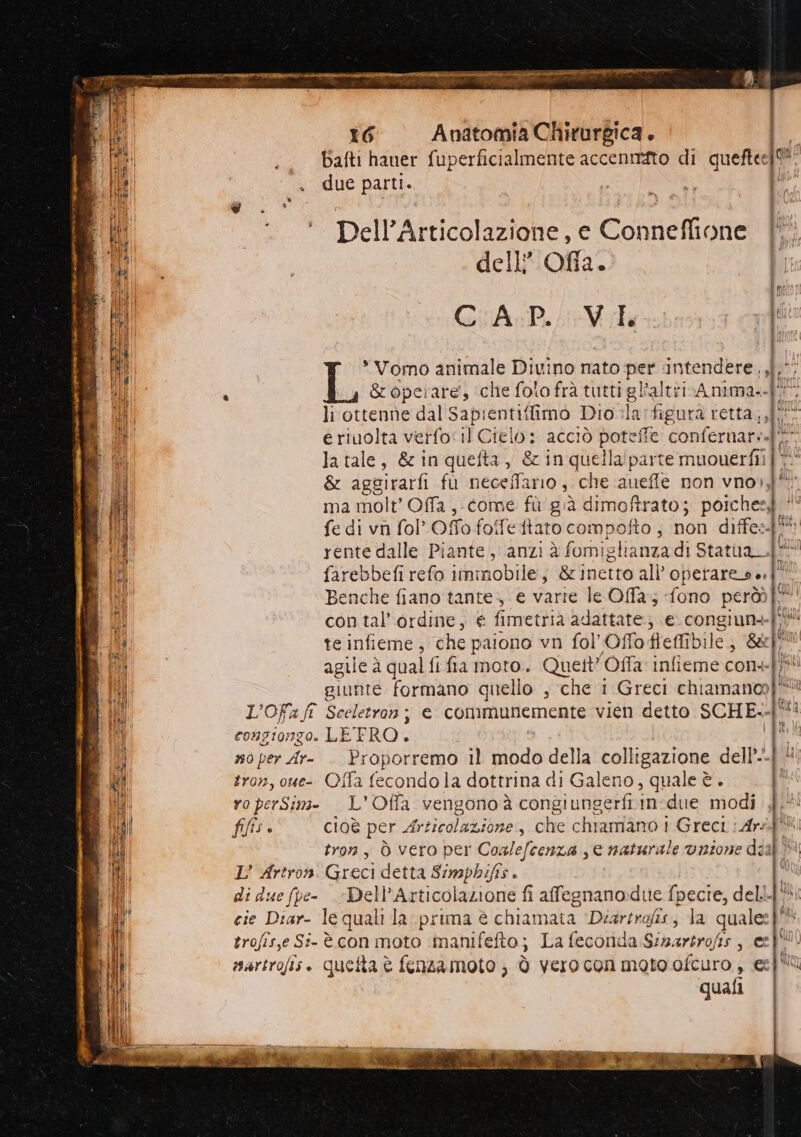 DITE TIR PATO RP RT SII PRE MARE TIR RR Se. e ù ear ») sel: di bafti haner fuperficialmente accenmito di quefte [Pe due parti. ATA, * Dell’Articolazione, e Conneffione | GiAsP.i&amp; Vik mito il î\; iui * Vomo animale Divino nato per intendere. e ri L &amp; operare, che folto frà tutti gl’altrivA nima. li ottenne dal Saprentiffimo Dio .:la:figura retta soft e riuolta verfo<il SE acciò potete confernar:. Th la tale, &amp;inquefta, &amp; in quella'parte muouerfii}* &amp; aggirarfi fù ecolfar rio, che .aueffe non vno),l ma molt'Offa ,- come fù già dimoftrato; poiche: |e fe di vn fol Offo foffeftato compofto ; non diffe» rente dalle Piante, anzi à fomiglianzadi Statua farebbefi refo immobile; &amp; inetto all’ operare | Di Benche fiano tante. e varie le Offa; a però vi con tal’ordine, e fimetria adattate; e congiuma E te infieme, che paiono vn fol'’Offo freffibile, ‘&amp;&amp; po agile à qual fi fia moto. Quett’ 'Offa infieme con: 1 TI giunte formano quello , che 1 Greci chiamano Lay L'Ofa/fî Sceletron ; e communemente vien detto SCHE.-| CONTIONZO. LETRO. . Di a ui Billa n0 per Ar Proporremo il modo della REA dell. tron, oue- Offa tono la dottrina di Galeno, quale è. ro perSim- L'Offa vengonoà congiungerfi in: due modi fifis. cioè per r0ical ebiine , che chiamano i Greci :Ars tron, Ò vero per SER ro e naturale unione di IL’ Artron. Greci detta Simpbifis di due fpe- Dell’ Articolazione fi affegnano:due fpecte, dell. cie Diar- le quali la prima è chiamata Dearirofis, la quale: i trofis,e Si-è con moto imanifefto; La feconda Simartrofis , esp! martrofis. quetta è fenzamoto ) è verocon moto ofcuro, eep'i quali |