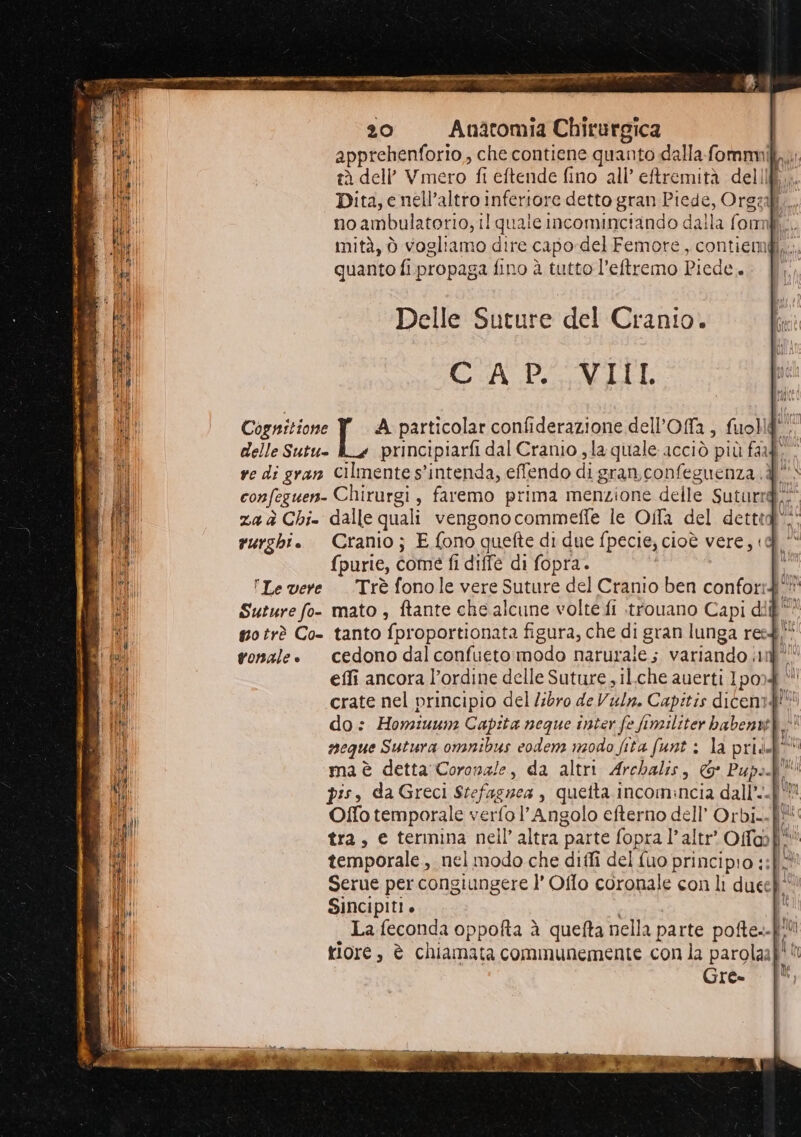 Delle Suture del Cranio. CAP. VIII Cognitione A particolar confiderazione dell'’Ofa, fuolld' delle Sutu- principiarfi dal Cranio , la quale acciò più fail * ve di gran Cilmente s’intenda, effendo di gran confeguenza.@. confeguen- Chirurgi, faremo prima menzione delle Suturid* za à Chi- dalle quali vengonocommefte le Oifa del dettid'* rurghi. Cranio; E fono quefte di due fpecie; cioè vere, (purie, come fi diffe di fopra. i Le vere Trè fonole vere Suture del Cranio ben conforrd* Suture fo- mato , ftante che alcune volte fi .trouano Capi dif * go trè Co- tanto fproportionata figura, che di gran lunga reed” tonale» cedono dal confueto;rmodo narurale; variando in” effi ancora l'ordine delle Suture ; il.che auerti Ipod | crate nel principio del libro deVuln. Capitis dicem! do: Homiuun: Capita neque inter fe fimiliter babenstt |! neque Sutura omnibus codena nzodo fita funt : la pridd* ma è detta Coronzle, da altri Archalis, © Pupo pis, da Greci Stefagnea , quetta incomincia dall’.-|' Offo temporale verfo l’Angolo efterno dell’ Orbi. fi: tra, e termina nell’ altra parte fopra l’altr' Of@l!' temporale, nel modo che diffi del {uo principio ::f- Serue per congiungere I’ Offo coronale con li duce Sincipiti » pet La feconda oppofta à quefta nella parte pofte.-} riore, è chiamata communemente con la parolaa Gre-