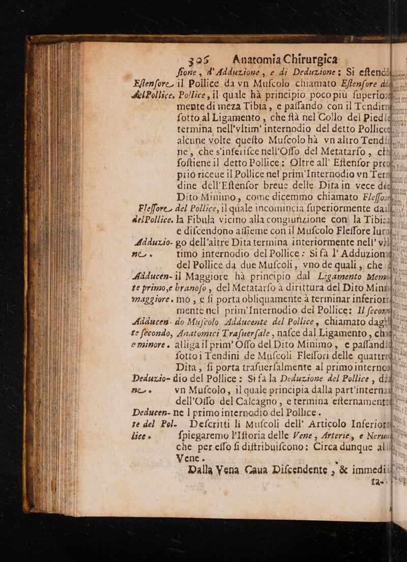 fione, d'Adduzione , e di Deduzione 3 Si eftencdi.... E/fenfore il Pollice da vn Mufcolo chiamato Effenfore dà. delPollice. Pollice, il quale hà principio poco più Psa Si mente di meza Tibia, e paffando con il Tendirnk.... fotto al Ligamento , ‘che lì nel Collo del Piedid;.... termina nell’vitim’ interodio del detto Pollice» alcune volte quefto Mufcolohà vnaltro Tendiik,, Dita, fi porta trafuerfalmente al primo internool, Deduzio- dio del Pollice: Sifàla Deduzione del Pollice , dit ML è vn Mufcolo, il quale principia dalla part’internadl' dell’Offo del Calcagno, e termina efternamenti di an Deducen- ne l primo internodio del Pollice. se del Pol- Defcritti li Mufcoli dell’ Articolo Inferiore lisce è {piegaremo l’Iftoria delle Vere, Arterie, e Nero @ che per effo fi diftribuifcono; Circa dunque all Vene. Dalla Vena Caua Difcendente , & immedi fi tas) 1%