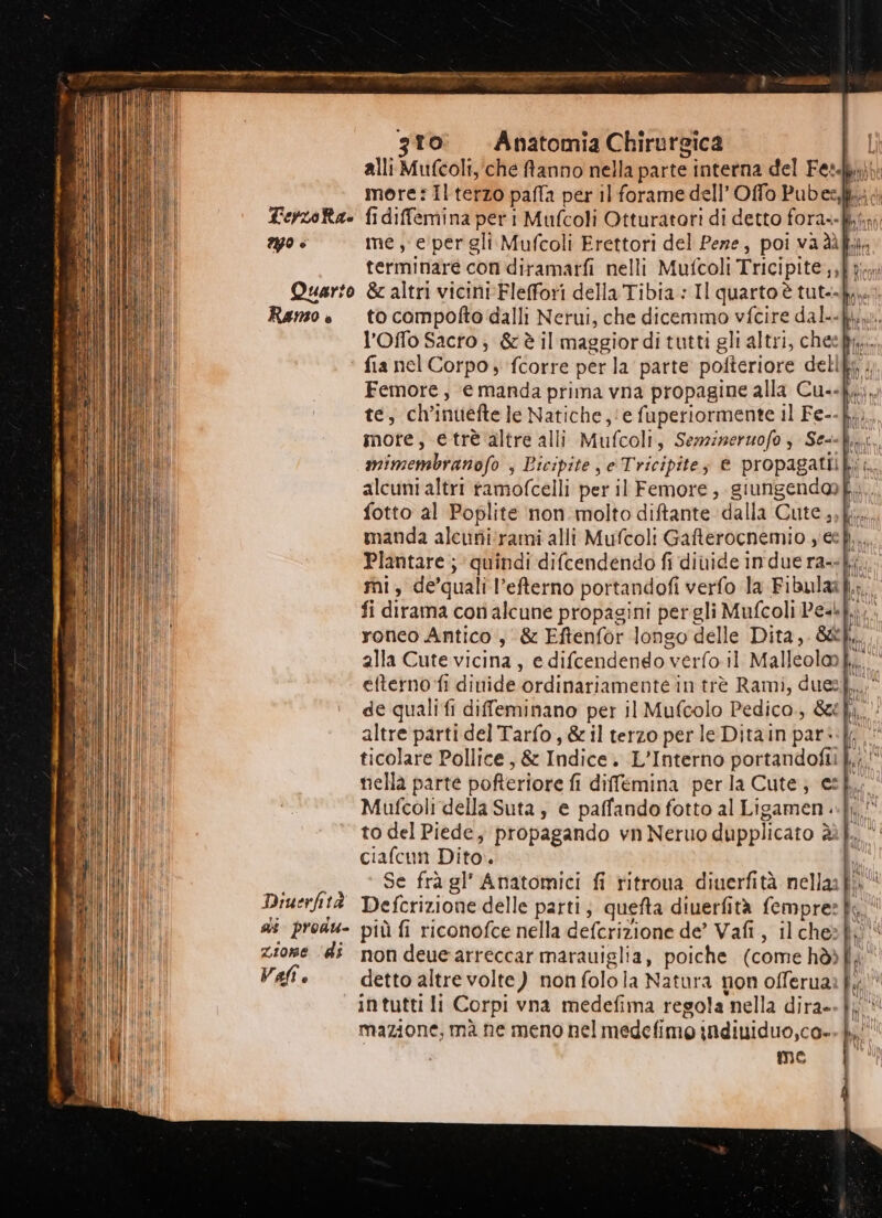 FerzoRa= 20 è Quarto Ramo è Diuerfità di produ- zione ‘di Vafi . ia ST ZIA PI PIO n» to compofto dalli Nerui, che dicemmo vfcire dali. l’Offo Sacro ; & è il maggiordi tutti gli altri, cheefj,. fia nel Corpo; fcorre per la parte pofteriore dell mimembranofo , Bicipite, e Tricipite; @ propagattik, fotto al Poplite non molto diftante dalla Cute .;|k;. manda alcuni‘rami alli Mufcoli Gafterocnemio , ee È, Plantare; quindi difcendendo fi divide indue ra--k;. ronco Antico, & Eftenfor longo delle Dita, &tk.. alla Cute vicina, e difcendengo verfo il Malleolok,. nella parte pofteriore fi diffemina perla Cute; csh, Mufcoli della Suta , e paffando fotto al Ligamen «.}}' to del Piede, propagando vn Neruo dupplicato è. ciafcun Dito. Ù ‘ Se frà gl’ Anatomici fi ritroua diuerfità nellafi\ più fi riconofce nella defcrizione de’ Vafi, ilches|k non deuearreccar marauiglia, poiche (come hòòfli detto altre volte) non folola Natura non offerua? È. intutti li Corpi vna medefima regola nella dira». mazione, mà ne meno nel medefimo indiuiduo,ca» me