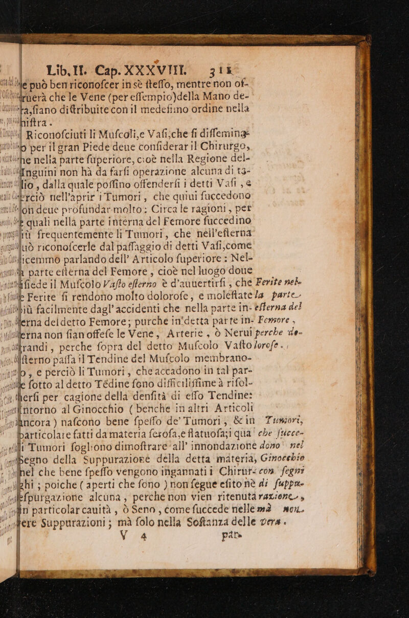 te può bem riconofcer in sè iteffo, mentre non of- Uilitrnerà che le Vene (per effempio)della Mano de- Iliia,fiano diftribuite con il medefimo ordine nella \Mbiftra . iii Riconofciuti li Mufcoli,e Vafi;che fi diffemina: utt per il gran Piede deue confiderar il Chirurgo, tte nelta parte fuperiore, cioè nella Regione del- il iiTnguini non hà da farfi operazione alcuna di tg4- mtiMio , dalla quale poffino offenderfi i detti Vale: lt lrciò nell’aprir iTumori, che quiui faccedono uni “on deue profundarmolto; Circa le ragioni, per ui È quali nella parte interna del Femore fuccedino potilfrà frequentemente li Tumori, che nell’efterna ntiluò riconofcerle dal paffaggio di detti Vafi,come \itkicemmo parlando dell’ Articolo fuperiore : Nel- «là parte eiterna del Femore , cioè nel luogo doue etifiede il Mufcolo Vaffo efferno è d’autertirfi, che Ferite nel xi Ferite fi rendono molto dolorofe, e moleftate/a parte. piollepià facilmente dagl’accidenti che nella parte in- #fferna del .)WMerna del detto Femore; purche inîdetta parte in- Femsore , Berna non fianoffefe le Vene, Arterie, ò Nerui perche de- n ekrandi , perche fopra del detto Mufcolo Vafto/orofe .. i ÉRerno paffa il Tendine del Muftolo membrano- iiuilo , e perciò li Tumori, che accadono in tal par- silille fotto al detto Tédine feno difficiliffime è rifol- ‘cv herfi per cagione della denfità di effo Tendine: ‘ntilntorno al Ginocchio ( benche in altri Articoli O nìncora ) nafcono bene fpeffo de’ Tumori, & in Tumori, . tbarticolare fatti da materia fesofa,e flatuofa;i qua' che fuece- «li Tumori fogliono dimoftrareall’ inondazione dono vel siibegno della Suppuraziore della detta materia, Ginoeebio . nel che bene fpeffo vengono ingannati i Chirur< con fegni ‘mbighi ; poiche ( aperti che fono ) non fegue efito nè di fuppa- dEfpurgazione alcuna, perche non vien ritenuta razione., | n particolar cauità 4 ò Seno , Come fuccede nellemaà mor. «ere suppurazioni; mà folo nella Softanza delle vera. VA pare er =“ sai = —_— i croce “Re = ss = =_= Fgd3 = SEG = =a VILDO