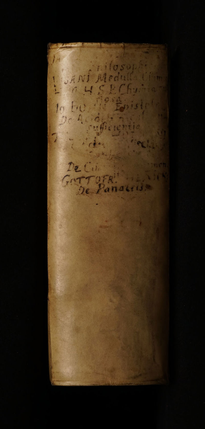 No text description is available for this image