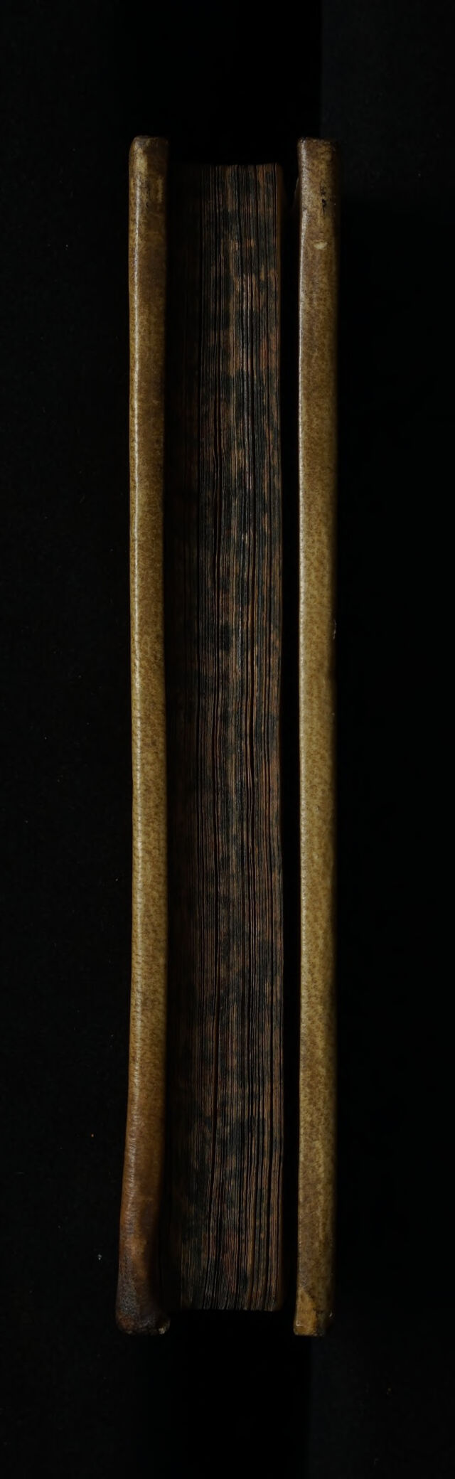 digitised image 3