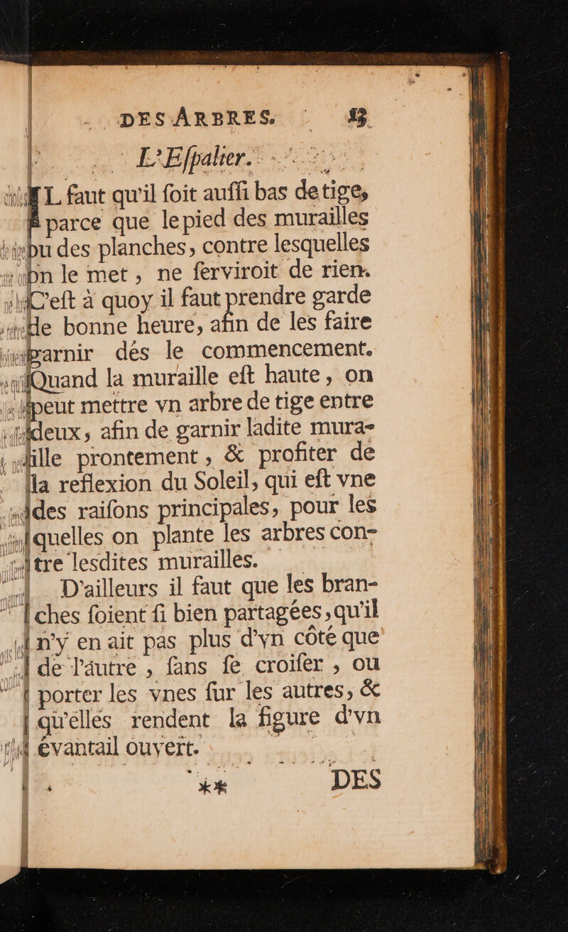 | . DESARBRES 4% HT L faut qu'il foit auffi bas detige, parce que lepied des murailles kipu des planches, contre lesquelles rupn le met, ne ferviroit de rien. :AC'eft à quoy il faut prendre garde He bonne heure, afin de les faire juarnir dés le commencement, s#lQuand la muraille eft haute, on peut mettre vn arbre de tige entre .Hideux, afin de garnir ladite mura- «dille prontement , &amp; profiter de [la reflexion du Soleil, qui eft vne mfdes raifons principales , pour les “iquelles on plante les arbres con- itre lesdites murailles. | “{ D'ailleurs il faut que les bran- ” [ches foient fi bien partagées, qu'il ny en ait pas plus d'yn côté que ”.{ de l'âutre , fans fe croiïler ; ou ” { porter les vnes fur les autres, &amp; { quélles rendent Le figure dvn 1 evantail ouvert. A TE Û . Er DES