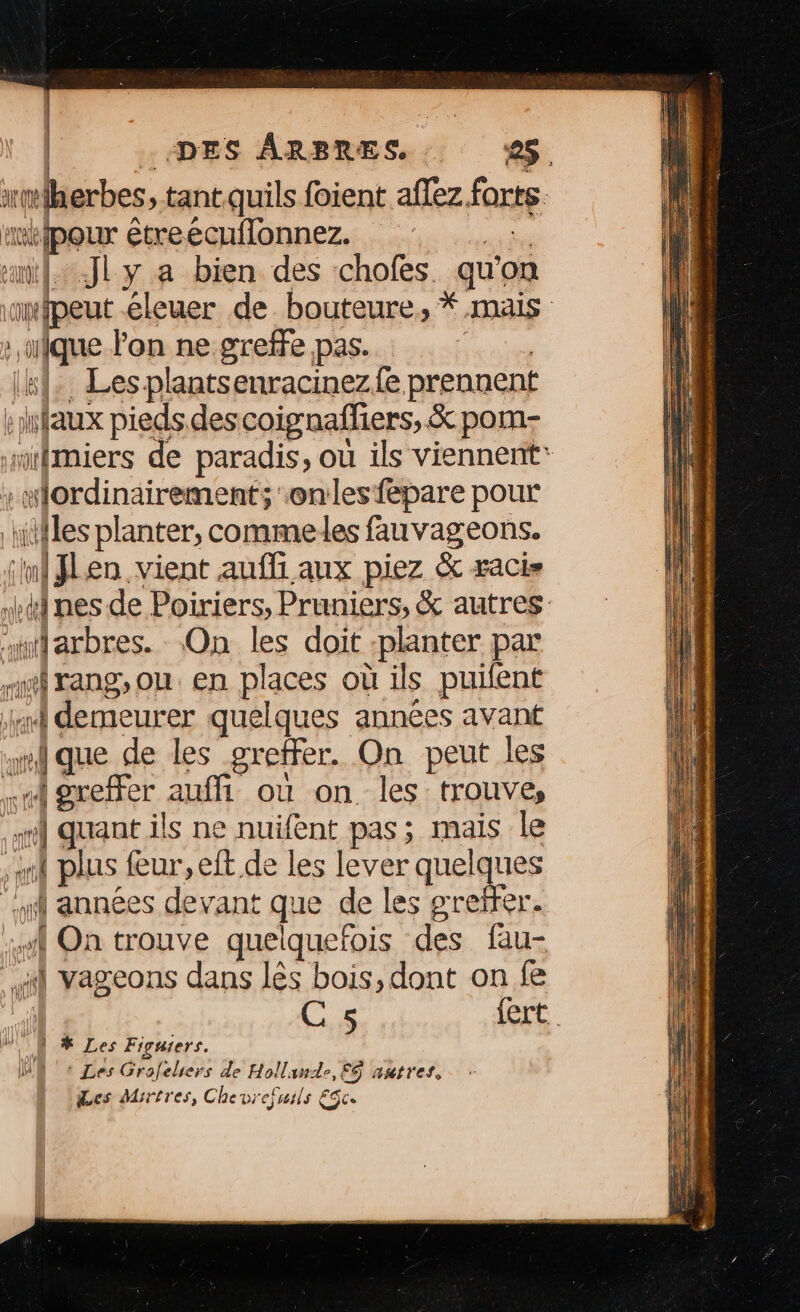 | | | DES ARBRES. 25. arte herbes, > tant.quils foient aflez. forts DAERUE étreécuflonnez. Jly a bien des chofes qu'o ‘on peut éleuer de bouteure, * mas ilque Pon ne greffe pas. ik}. Les plantsenracinezfe prennent faux pieds des coignafliers, &amp; pom- sifmiers de paradis, ou ils viennent: wlordinairement;'onlesfepare pour iifles planter, commeles fauvageons. À on en. vient aufli aux piez &amp; racis y nes de Poiriers, Pruniers, &amp; autres. ut sa L168 On les doit planter par ra Jrang,ou en places où ils puilent | demeurer quelques années avant que de les greffer. On peut les si greffer auffi où on les: trouve,  quant ils ne nuifent pas; mais le rl eo] PAS feur, eft de les lever PARUS années devant que de les greïter. er {On trouve quelquefois des fau- Ai vageons dans lès bois, dont on fe C5 {ert. AN | * Les Figuiers. ME + Les Grofelers de Hollande, F9 autres, Les Mirtres, Chevrefuils Et.