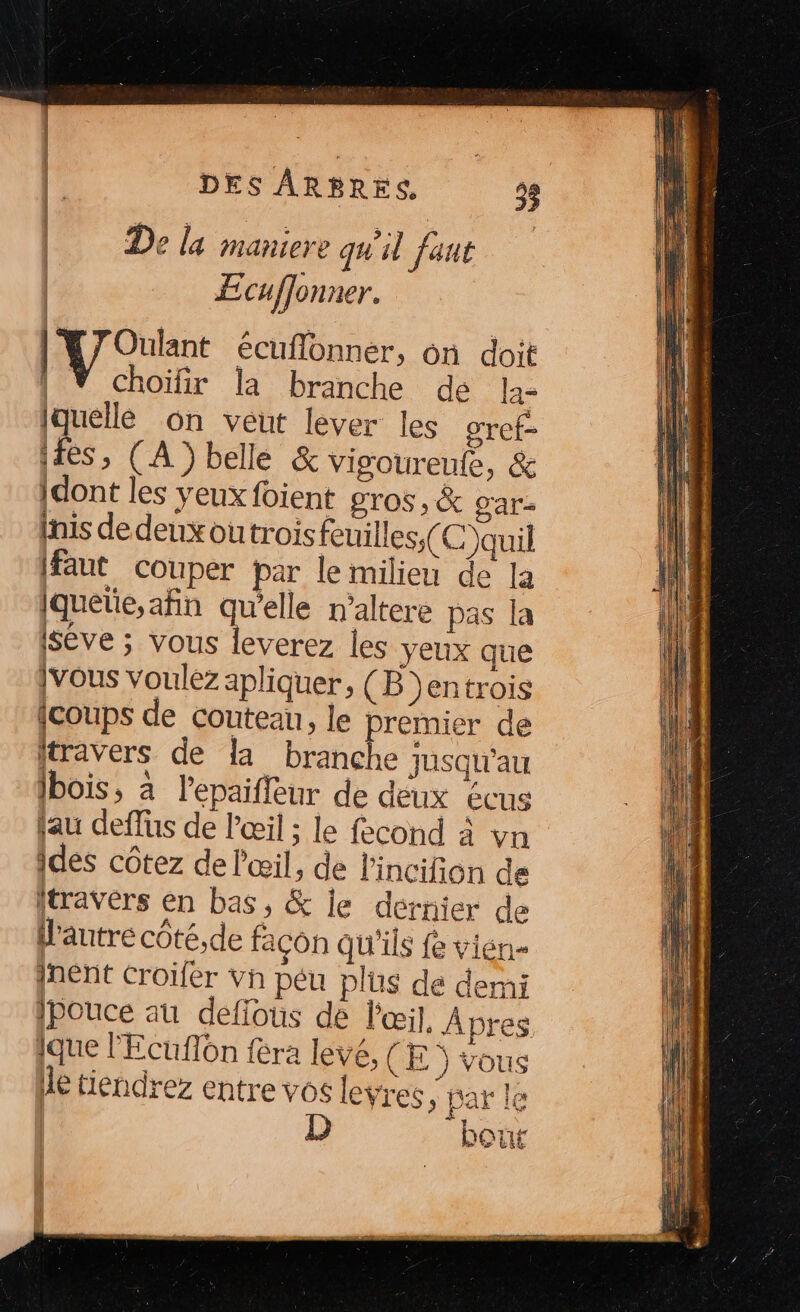 De la maniere qu'il fant ÆEcuflonner. [A rent écuflonner, on doit | Ÿ choïfir la branche de la= Iquelle on veut lever les oref- (tes, (A) belle &amp; vigoureute, &amp; {dont les yeux foient gros, &amp; gar- Inis dedenx outrois feuilles; (C)quil (faut couper par le milieu de la iquetie,afin qu’elle n’altere pas la séve ; vous leverez les yeux que [vous voulez apliquer, (B )entrois {coups de couteau, le premier de Itravers de la branche jusqu'au Ibois, à lepaifleur de deux écus jau deffus de l'œil ; le fecond à vn ides côtez de l'œil, de l'incifion de travers en bas, &amp; je dernier de Mautre côté,de façon qu'ils fe vien {nent Croïfer vh péu plus de demi [pouce au deflous de l'œil, Apres qque l'Ecuflôn fera levé, (E ) vous de tiendrez entre vos levres, par le N LE # A JOUE