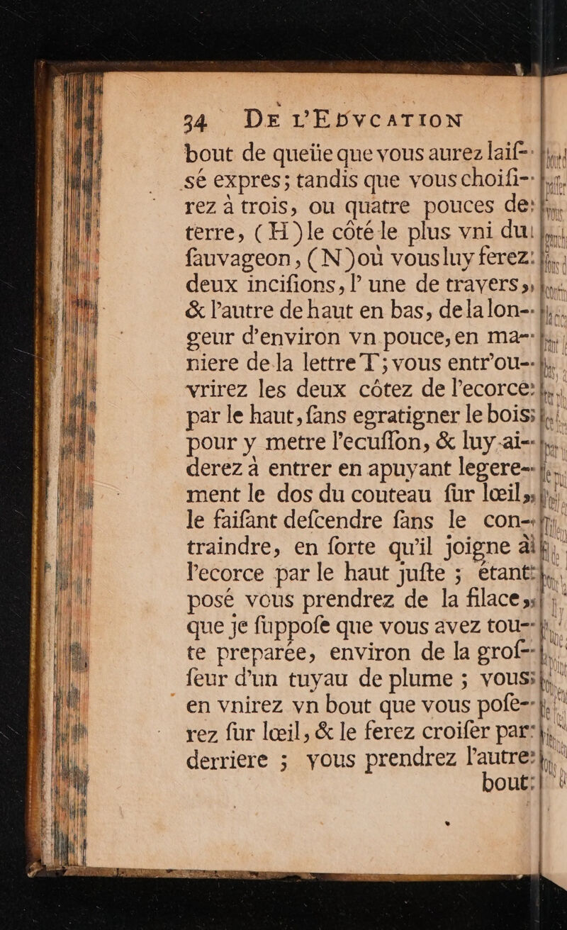 bout de queüe que vous aurez laif-: }},,, sé expres; tandis que vous choifi- fr. rez à trois, ou quatre pouces de:},, terre, (H }le côté le plus vni du}, fauvageon, (N jou vousluy ferez: }}, ; deux incifions, lune de travers »,| &amp; l'autre de haut en bas, delalon--} geur d'environ vn pouce,;en ma-}}, niere dela lettre T ; vous entr’ou-.{ vrirez les deux côtez de l'ecorce:., par le haut, fans egratigner le bois;k, pour y metre l'ecuflon, &amp; luy-ai--};, derez à entrer en apuyant legere-f.. ment le dos du couteau für lœils; le faifant defcendre fans le con-. traindre, en forte qu'il joigne àif, lecorce par le haut jufte ; étanti},, posé vous prendrez de la filace sf que Je fuppofe que vous avez tou=-fi te preparée, environ de la grof-4, feur d’un tuyau de plume ; vousif, ” en vnirez vn bout que vous pofe--{,. rez fur lœil, &amp; le ferez croifer park;  derriere ; vous prendrez l'autre}; bout:| à : NA ar À Mn [A =$ 1 : | — — =Ss | Li