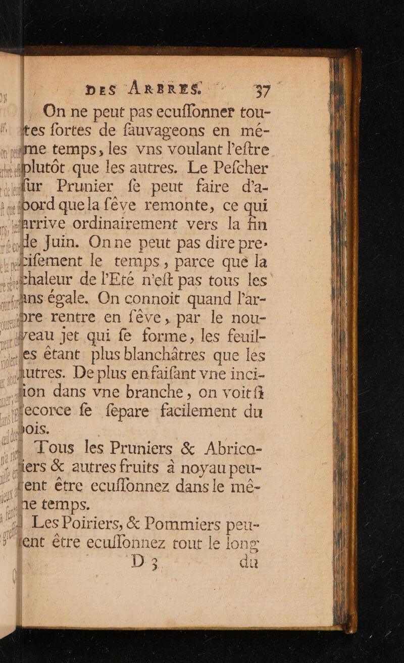 On ne peut pas ecuffonner tou- ttes fortes de fäuvageons en mé- nine EPS». les vns voulant l'eftre Hplutôt que les autres. Le Pefcher Mur Prunier fe peut faire da- | fbord AB remonte, ce qui «arrive ordinairement vers la fx “He Juin. Onne peut pas dire pre: Hifement le temps parce que la à Fhaleur de l'Eté n'eft pas tous les :ns égale. On connoït quand lar- pre rentr re en fêve, par le nou- .feau jet qui fe forme, les feuil- es étant plus blanchâtres que je Âutres. De plus enfaifant vne inci don dans vne branche, on voitf “ecorce fe fepare facilement du bois. à Tous les Pruniers & Abrico- ers & autres fruits à noyau peu- lent être ecuflonnez dans le mé- ne temps. 14 Les Poiriers, & Pommiers s peu- p lent être ecuflonnez tou RE ons D 3 |