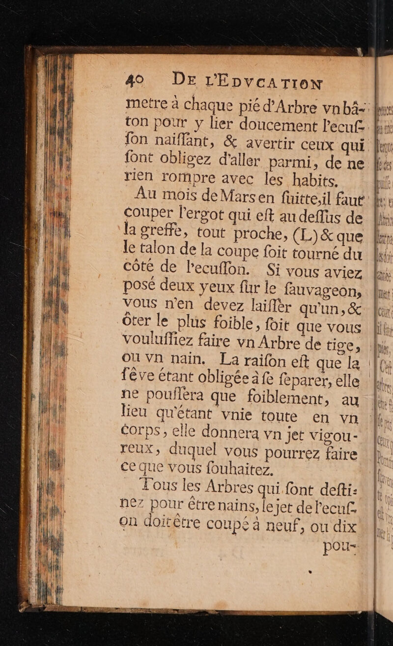 ton pour y lier doucement l'ecufz {on naïiflant, &amp; avertir ceux qui {ont obligez d'aller parmi, de ne rien rompre avec les habits. Au mois deMarsen füitte,il faut Couper l’ergot qui eft au deflus de la greffe, tout proche, (L)&amp; que le talon de la coupe foit tourné du côté de l'ecuflon. Si vous aviez posé deux yeux fur le fauvageon, vous n'en devez laiflér qu'un, &amp; vouluffiez faire vu Arbre de tige) OÙ Vn nain. ne poufléra que foiblement, au lieu qu'étant vnie toute en vn corps, elle donnera vn jet visou- reux, duquel vous pourrez faire ce que vous fouhaitez. Tous les Arbres qui font defti- nez pour être nains, le jet dePecu£. on doitêtre coupé à neuf, ou dix pou- JA!