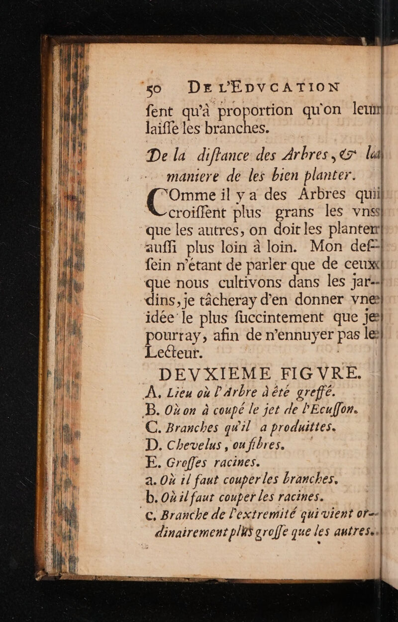 fent ASE OP qu'on le laife les branches. De la diffance des Arbres, € la maniere de les bien planter. “Omme il ya des Arbres quiil croiflent plus grans les vnss que les autres, on doit les planter auf plus loin à loin. Mon def+ fein n’etant de parler que de ceux! que nous cultivons dans les jar:- dins, je tâcheray d’en donner vne] idée’ le plus fuccintement que je pourray, afin de n’ennuyer pas lei Lecteur. | (f DEVXIEME FIGVRE. À, Lieu où l'arbre àêté greffé. B. Où on à coupé le jet de l'Ecuffon. 4 C. Branches quil a produites. D. Chevelus ,oufibres. | E. Groffes racines. a. Où 11 faut couper les branches, b. Où il faut couper les racines. °C, Branche de l'extremité qui vient 01=4| dinairement plus groffe que les autresel