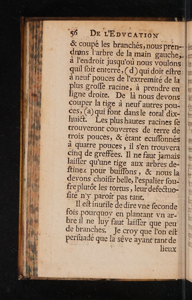 drans l'arbre de la main gauche,, Ê Le | à l'endroit jusqu'où nous voulons. à neuf pouces de l’extremité de la plus grofé racine, à prendre en ligne droite. De là nous devons Couper la tige à neuf autres pou- Ces, (a) qui font dansle total dix- huit. Les plushautes racines fe trouveront couvertes de terre de trois pouces, &amp; étant ecuflonnés à quatre pouces , il s’en trouvera cinq de greffées. Il ne faut Jamais laifler qu'une tige aux arbres de- Îtinez pour buiflons, &amp; nous la devons choiïfir belle, fre plutôt les tortus, fité n'y paroïît pas tant. left inutile de dire vne feconde fois pourquoy en plantant va ar- bre il ne ds faut laïflèr que peu de branches. Je croy que l'on eft perfuadé que la sêve ayant tant de lieux