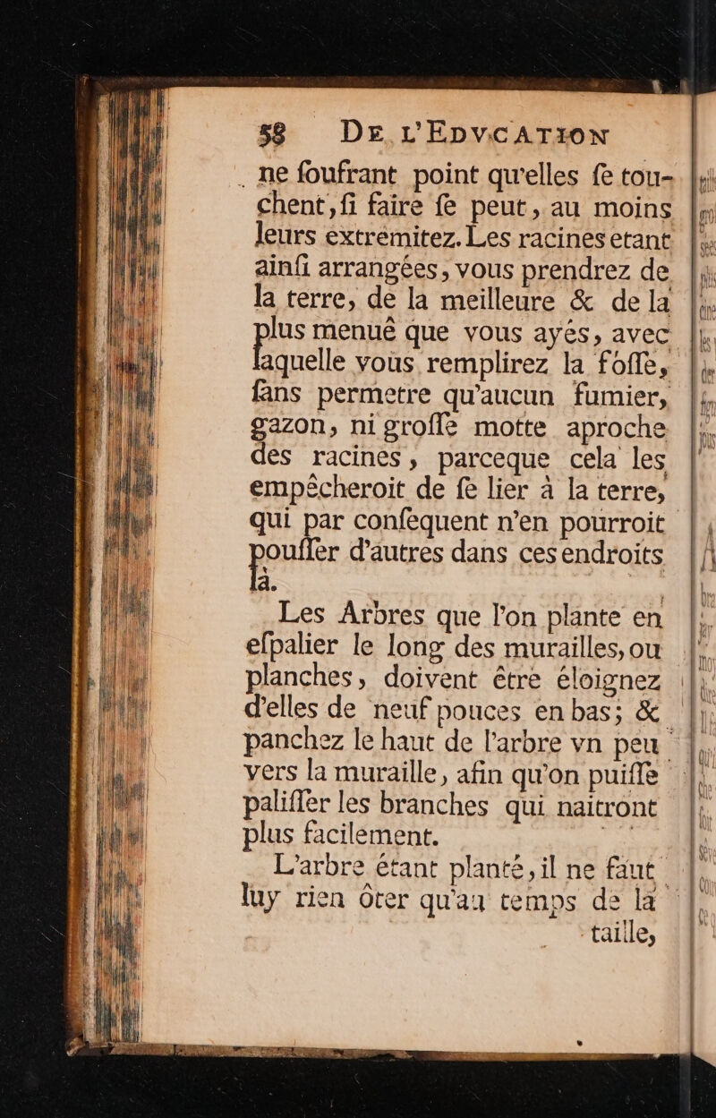 . ne foufrant point qu'elles fe tou- chent, fi faire fe peut, au moins |, leurs extremitez. Les racines etant F ainfi arrangées, vous prendrez de |k la terre, de la meilleure &amp; dela |, pis menuê que vous ayés, avec |. aquelle Vous remplirez la foffe, }, fans permetre qu'aucun fumier, {4 gazon, nigrofle motte aproche |, le des racines, parceque cela les (1 empécheroit de fe lier à la terre, fl qui par confequent n’en pourroit |, oufler d'autres dans cesendroits || à. | Les Arbres que l’on plante en efpalier le Iong des murailles,sou |! planches, doivent être éloignez d'elles de neuf pouces en bas; &amp; panchez le haut de l'arbre vn peu vers la muraille, afin qu’on puiffe paliffer les branches qui naitront plus facilement. à L'arbre étant planté, il ne faut luy rien Oter qu'au temps de la taille,