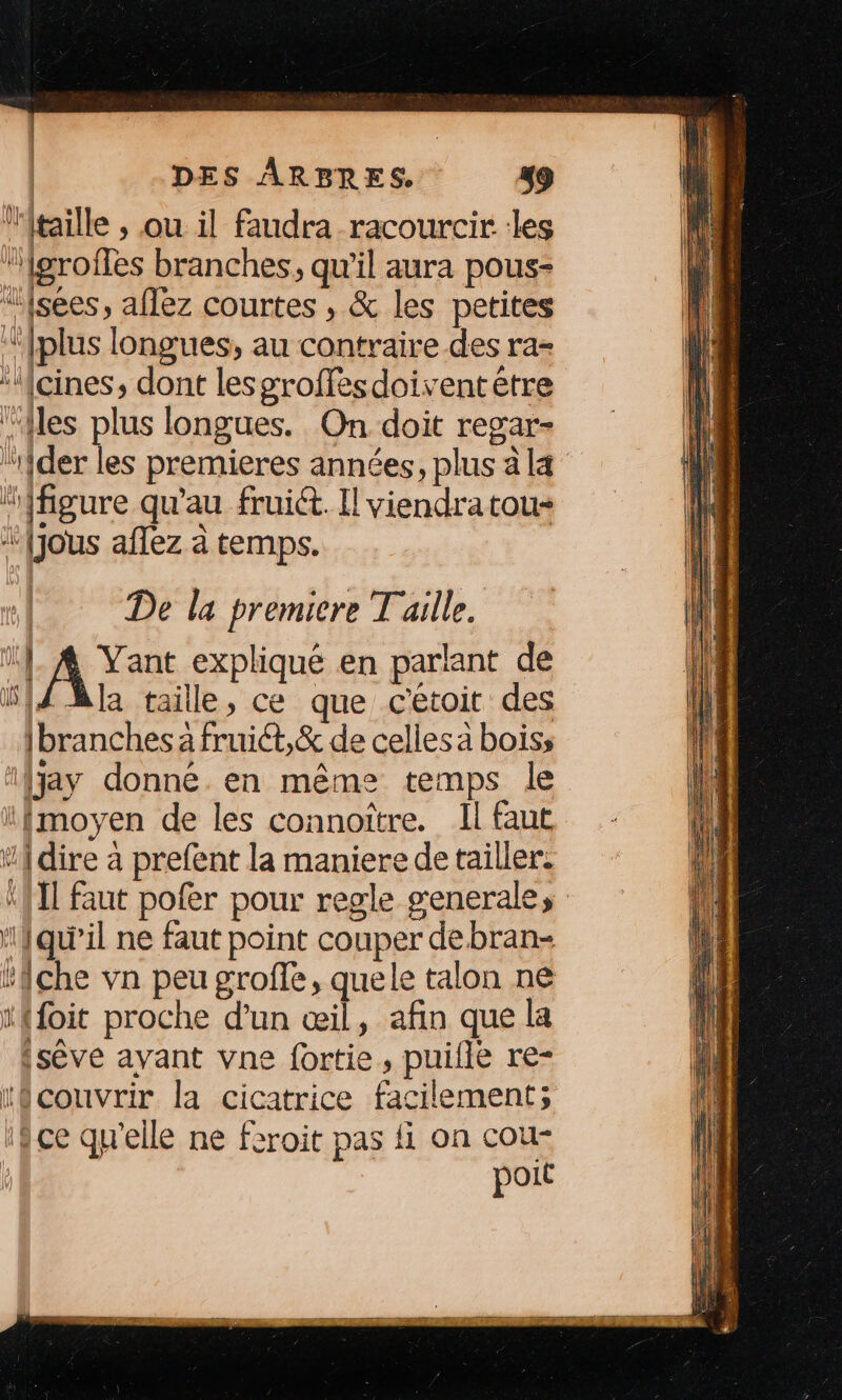 ‘taille , ou il faudra racourcir les Igrofles branches, qu'il aura pous- “{sées, affez courtes , &amp; les petites {plus longues, au contraire des ra- “‘{cines, dont lesgroffesdoiventétre ‘les plus longues. On doit regar- ‘der les premieres années, plus à l4 “figure qu'au fruiét. Il viendratous- *{jous aflez à temps. | De la premicre Taille. Uf ‘, Pare expliqué en parlant de 514Ala taille, ce que cétoit des {branches a fruict,&amp; de cellesa boiss ‘{jay donné. en même temps le {moyen de les connoitre. Il faut “{ dire à prefent la maniere de tailler. “f1l faut pofer pour regle generales “qu'il ne faut point couper debran- {che vn peu groffe, quele talon ne t{foit proche d'un œil, afin que la ‘sève ayant vne fortie, puille re- técouvrir la cicatrice facilement; ifce qu'elle ne feroit pas fi on cou- poit
