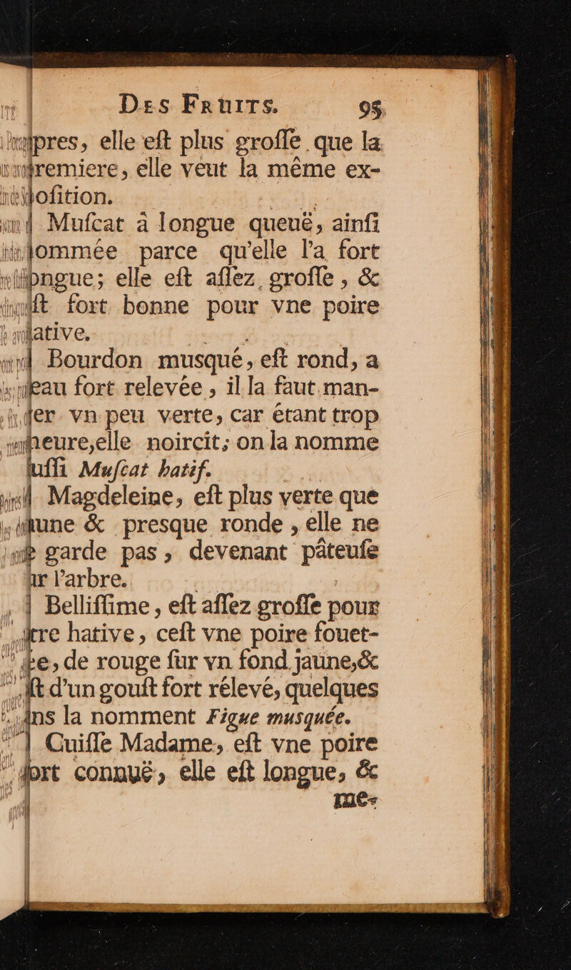 Des Fruirs. 9$ lxdpres, elle eft plus groffe que la rremiere, elle veut la même ex- retofition. | Ur wi Mufcat à longue queuë, ainfi nommée parce qu'elle la fort “Hipngue; elle eft aflez groffe , &amp; int fort bonne pour vne poire xative. ne D D errer ce “ul Bourdon musqué, eft rond, a “neau fort relevée , il la faut.man- fer vn peu verte, Car étant trop “heure,elle noircit; on la nomme ui Muftat hatif. Là ri Magdeleine, eft plus verte que tune &amp; presque ronde , elle ne «8 garde pas, devenant pâteufe ar l'arbre. . | , À Belliffime, eft aflez groffe pour _itre hative, ceft vne poire fouet- ‘de, de rouge fur vn fond jaune,ë&amp;c “At d’un gout fort rélevé, quelques M qe la nomment F igue musquée. * | Cuifle Madame, eft vne poire dort connué, elle eft longue, ë&amp; | mer 1 | \£,