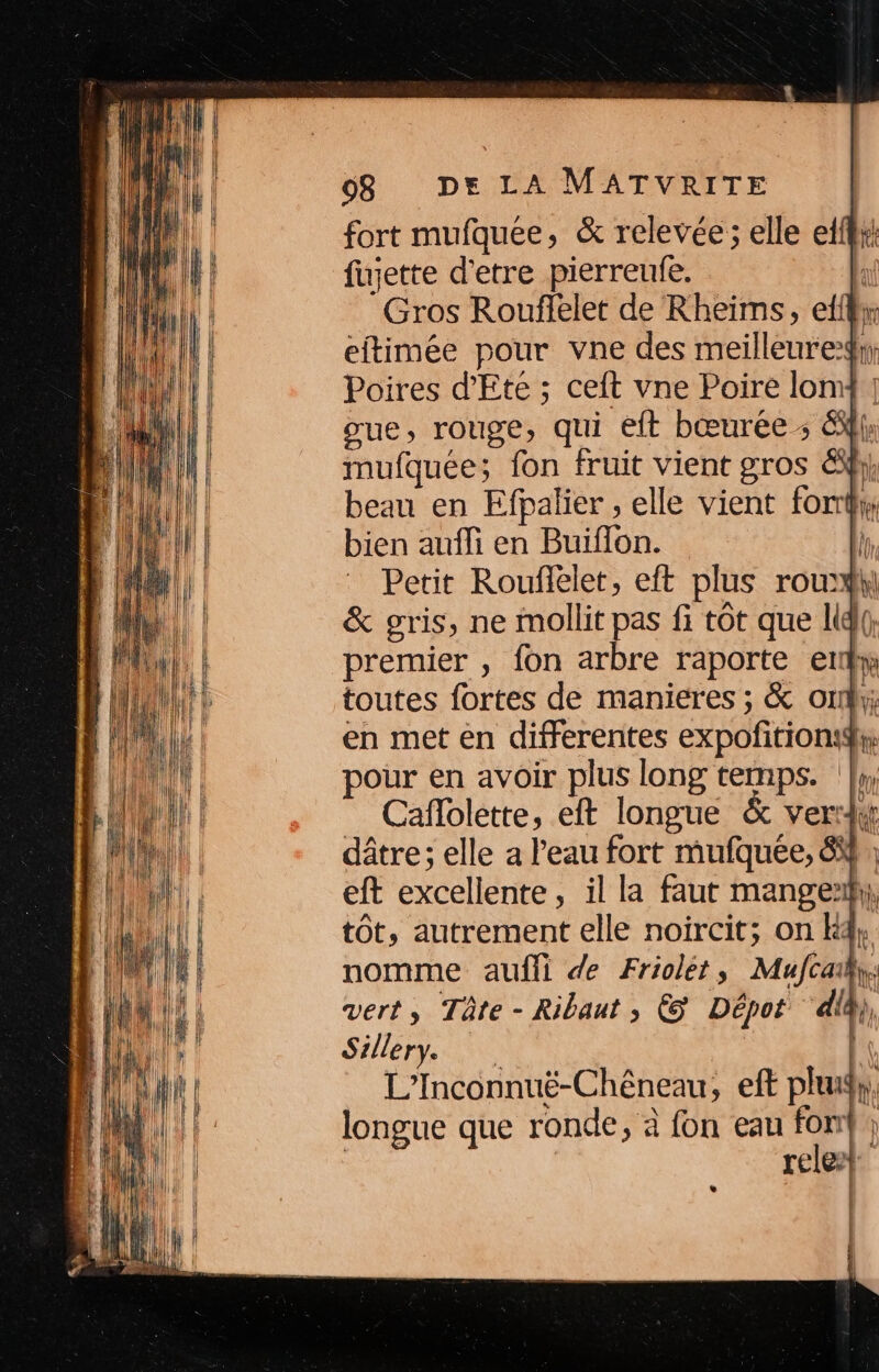 fort mufquée, &amp; relevée; elle eff fujette d'etre pierreufe. Gros Rouflelet de Rheïims, all w eftimée pour vne des meilleuredyr: Poires d'Eté ; ceft vne Poire lom gue, rouge, qui eft bœurée ; lon (P mufquée; fon fruit vient gros ë; beau en Efpalier , elle vient for bien aufli en Buiflon. h Petit Rouflelet, eft plus roux  &amp; gris, ne mollit pas fi tôt que Lidl premier , fon arbre raporte er toutes fortes de manieres ; &amp; ok en met en differentes ARR pe pour en avoir plus long temps. :}y, Caflolette, eft longue &amp; ver: ke dâtre; elle a l’eau fort mufquée, 6 eft excellente , il la faut mange: . tôt, autrement elle noircit; on K4; nomme aufli de Friolét, Mufcaiky;: vert, Tâte- Ribaut , © Dépot di Sillery. L’Inconnuë-Chêneau, eft phudy, longue que ronde, à fon eau de 5 rele»} e