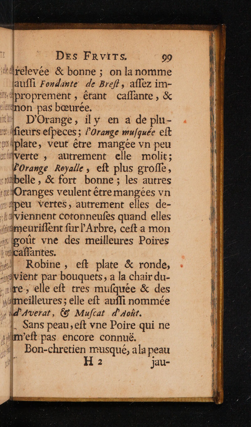 tiirélevée &amp; bonne ; on la nomme (auf Fondante de Breft, aflez im- iMproprement , étant caffante, &amp; ‘:non pas bœurée. il D'Orange, ily en a de pln- Wlfieurs efpeces ; l’Orange mufquée eft miplate, veut être mangée vn peu mHifverte ; autrement elle molit; POrange Royalle , eft plus groffe, ‘belle , &amp; fort bonne ; les autres :#MOranges veulent être mangées vn peu Vertes, autrement elles de- «Hdfviennent Cotonneufés quand elles imeuriflent fur l’'Arbre, ceft a mon “goût vne des meilleures Poires rwicaffantes. w#N° Robine, eft plate &amp; ronde, swvient par bouquets, a la chair du- re, elle eft tres mufquée &amp; des ufimeilleures ; elle eft auffi nommée M Averat, € Mufcat d'août. {. Sans peau,eft vne Poire qui ne :m'eft pas encore connué. 4 Bon-chretien musqué, ala peau É H 2 jau-