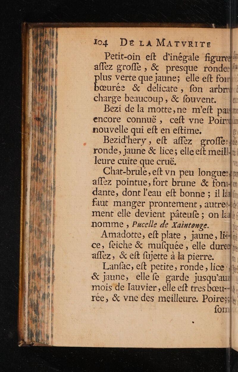 Petit-oin eft d’inégale figure affez groffe , &amp; presque rondeelli lus verte que jaune; elle eft fon œurée &amp; delicate, fon arbmi charge beaucoup, &amp; fouvent, ln Bezi de la motte,ne m'eft padm encore connué , ceft vne Poirh nouvelle qui eft en eftime, ge Bezid'hery , elt aflèz groffé:l!} ronde, jaune &amp; lice; elle eft meillk: leure cuite que cruë. Chat-brule, eft vn peu longue:lm aff2z pointue, fort brune &amp; fond dante, dont l'eau eft bonne ; il Id faut manger prontement , autreilh ment elle devient pâteufe ; on I}, nomme , Pucelle de Xaintonge. \ Amadotte, eft plate , jaune, ll ce, feiche &amp; mulquée, elle dure [A aflez, &amp; eff figette à la pierre. |, Lanfac, et petite, ronde, lice:4i, &amp; jaune, ellefe garde jusqu'auil mois de lauvier, elle eft tres bœu-4}, rée, &amp; vne des meilleure. Poiress|l. fon