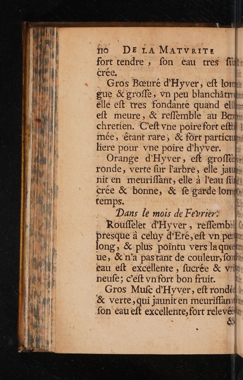 fort tendre ; fon eau tres fl: Cr | l . Gros Bœuré d'Hyver, cft lom _gue &groffe, Vn peu blanchitrmhi éllé eft tres fondante quand ellkr elt meure, & reflemble au Bol chretien. Ceft vne poire fort efttf} mée, étant rare, & fôrt particuhi! liere pour vne poire d’hyver. |i Orange d'Hyver, eft grofféh: ronde, verte fur larbre, elle jauks niten meuriflant, elle à l’eau fifi crée & bonne, & fe garde lomf); temps. | Dans le mois de Fevrier: Ÿ Rouüflelet d'Hyver, refflembill( Fr a celuy d'Eré,eft vn pen ong, & plus pointu vers la quéefin ue, & n'a pastant de couleur, foi eau eft excellente , fucrée & vrili neufe; c’eft vnfort bon fruit. } =. Gros Mufc d'Hyver, eft rondtqi: _& verte,qui jauniten meuriffamii {on eau eft excellente, fort D k # Li | ! | 5
