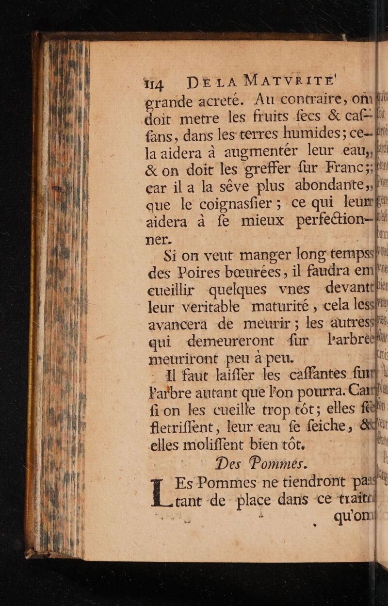 grande acrete. Au contraire, Om doit metre les fruits fecs &amp; caf--|l fans, dans les terres humides ; ce- fn la aidera à augmentér leur eau,,fi &amp; on doit les greffer fur Franc;;fi car il a la sêve plus abondante,,fi que le coignasfier ; Ce qui leurrÉt aidera à fe mieux perfection--fli ner. Pr Si on veut manger long tempss}ù des Poires bœurees, il faudra embi cueillir quelques vnes devant} leur veritable maturité , cela less avancera de meurir ; les autres qui demeureront fur ee meuriront peu à peu. : ef Il faut laifler les caffantes fun ! Patbre autant que l'on pourra. Cat} fion les cueille trop tôt; elles #9 fletriflent, leur eau f feiche, 8h elles moliffent bien tot. Des Pommes. L Es Pommes ne tiendront paid tant de place dans ‘ce traïtil s qu'on \ À ” LU
