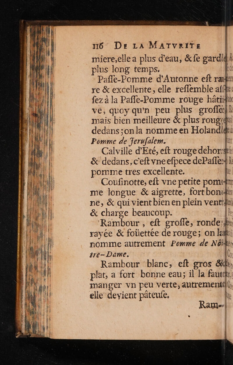 miere,elle a plus d’eau, &amp;fe Hu : À plus long temps. EC Pafle-Pomme d’Autonne eft ræft re &amp; excellente, elle reflemble aff: fez à la Pañle-Pomme rouge hâtiifi ve, quoy qu'n peu plus groff&amp;}i mais bien meilleure &amp; plus rougiqui dedans ;on la nomme en Holandigit Pomme ds Jerufalem. Len Calville d'Eté, eft rouge dehor:stt &amp; dedans, c’eft vne efpece dePafle» pomme tres excellente. Coufinotte, et vne petite poruidn me longue &amp; aigrette, fort bon: | ne, &amp; qui vient bien en plein vent &amp; charge beaucoup. L ‘Rambour , eft grofle, ronde:l rayée &amp; foüettée de rouge; on le nomme autrement Pomme de Nôïi tré- Dame. ( Rambour blanc, eft gros &amp; plat, a fort bonne eau; il la faut, manger vn peu verte, autrementil\, elle devient pâteufe, | +4] k LE
