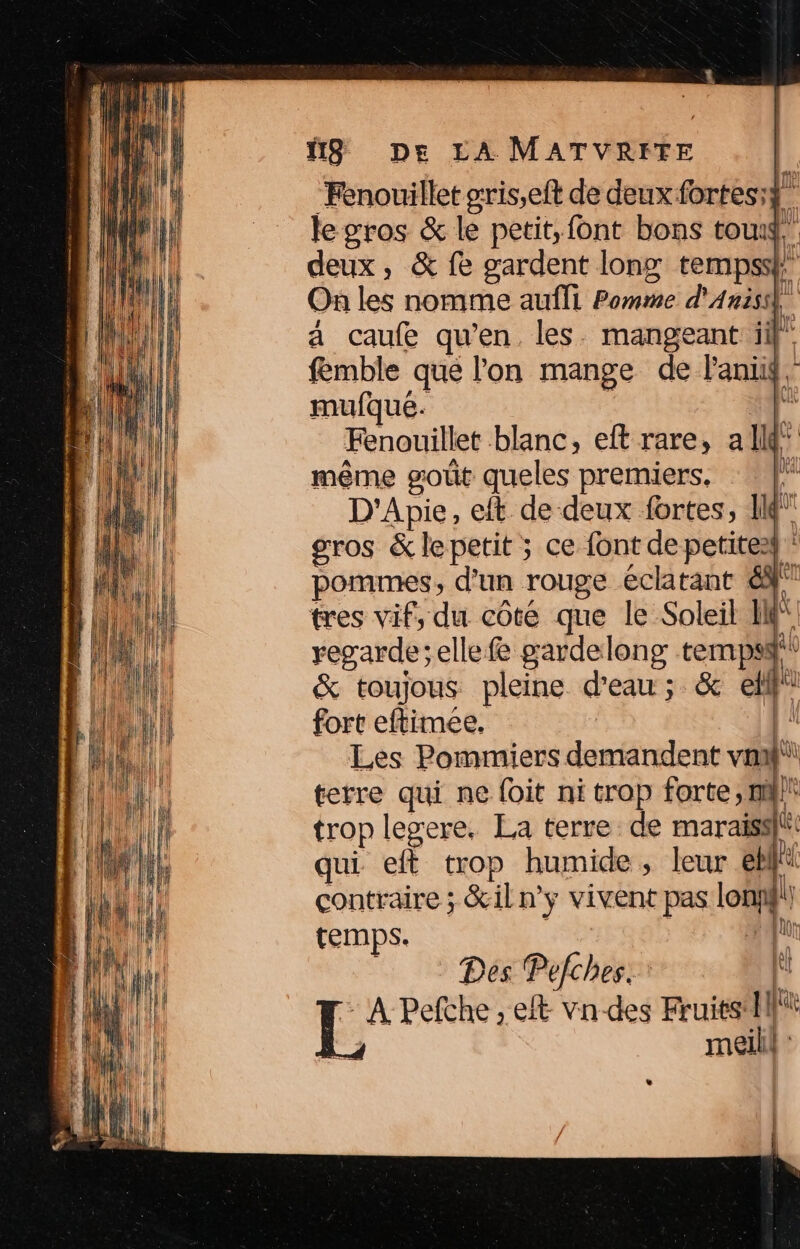 Fenouillet gris,eft de deux fortes:$ le pros &amp; le petit, font bons touŸ. deux, &amp; fe gardent long tempssi On les nomme aufli Pomme d'Anis . | à caufe qu’en les. mangeant ill femble que l'on mange de laniid, mufqué. . à Fenouillet blanc, eft rare, al” même goût queles premiers. : f* D'Apie, eft de deux fortes, 18” gros &amp; le petit ; ce font de petite2} pommes, d’un rouge éclatant 63 tres vif, du côté que le Soleil HN rerarde;ellefe gardelong temps &amp; toujous pleine d'eau ; &amp; eff fort eftimee, | Les Pommiers demandent van terre qui ne {oit ni trop forte, nl trop legere. La terre. de maraisslit qui eft trop humide, leur eb ël contraire ; &amp;iln’y vivent pas lonÿ |, temps. fr Des Pefches. | Ai LÉ; Pefthe , eft vn des Fruits If ss meill :