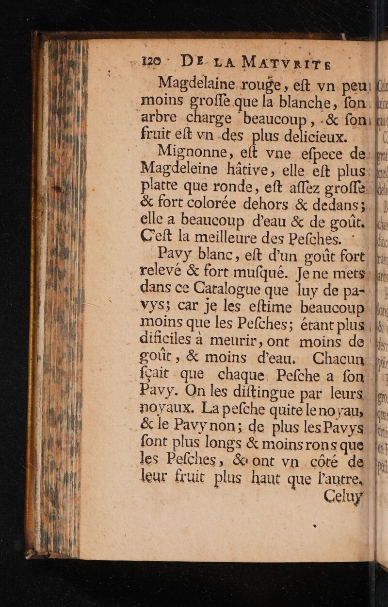 Mignonne, elle a beaucou Pavy blanc Celuy!!