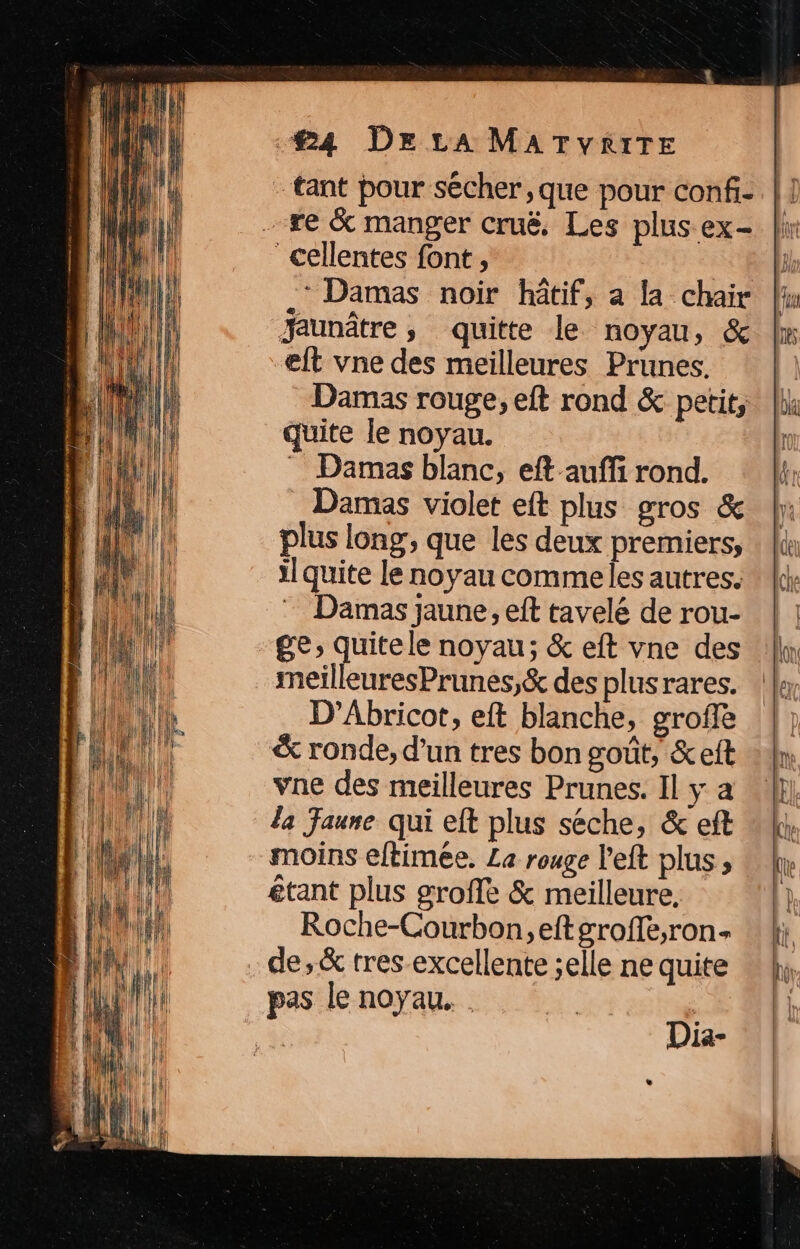 ‘tant pour sécher, que pour conf- --#e & manger cruë., Les plus ex- cellentes font, ; * Damas noir hâtif, a la chair Jaunâtre , quitte le noyau, & elt vne des meilleures Prunes. Damas rouge, eft rond & petit, quite le noyau. Damas blanc, eft auffi rond. Damas violet eft plus gros & plus long, que les deux premiers, ilquite le noyau commeles autres. Damas jaune, eft tavelé de rou- meilleuresPrunes,& des plus rares. D’Abricot, eft blanche, groffe & ronde, d’un tres bon goût, &eft vne des meilleures Prunes. Il y a la Jaune qui eft plus séche, & eft moins eftimee. La rouge left plus, étant plus groffe & meilleure, Roche-Courbon, eftgroffe;ron- de,& tres-excellente selle ne quite pas le noyau. Dia-