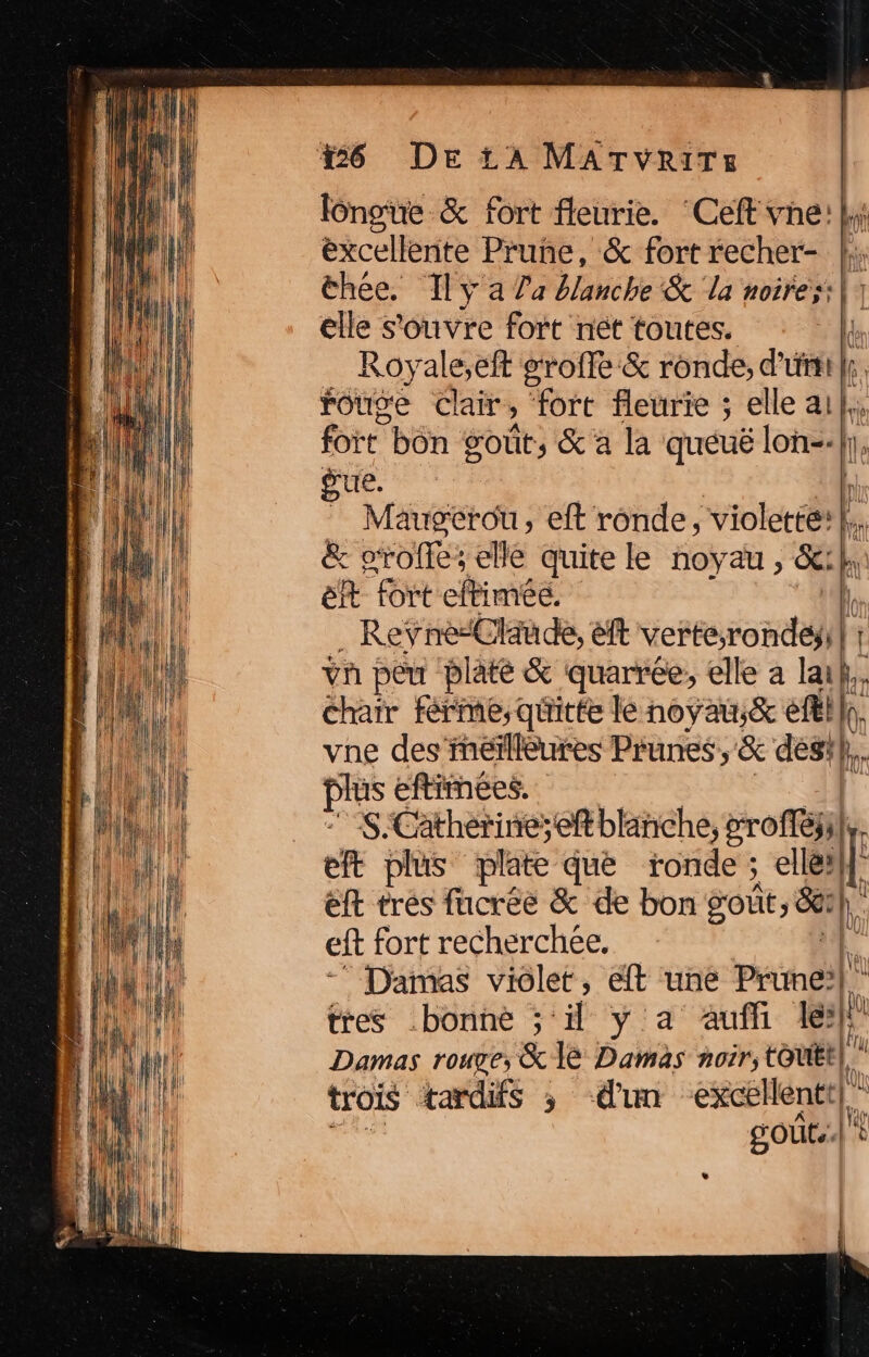 ôngue &amp; fort fleurie. ‘Ceft ve: |; excellente Pruñe, &amp; fort recher- };; thee. Il y a Ja blanche &amp; la noires: |} elle s'ouvre fort nét toutes. LL Roy ale,eft groite &amp; ronde, d'urti|r, fouge clair, fort fleurie ; elle ai}, foït bôn gout; &amp; a la quéué lon-:}, ÿue. 1 Mauperou, eft ronde, violette’ |. &amp; srofle; elle quite le noyau, &amp;: ” ef fort eftimée. | Revne-Claude, eft verte;rondey É vh peu plate &amp; quarrée, elle a lai, Chair férme, quitte le noyau;&amp; eft! kb vne des’inéillèures Prunes, &amp; des: kr prés eftimees. S.Catherine;eft blanche, profil, k eft plus plate que ronde ; ellèx eft trés fucrée &amp; de bon got, &amp;e: h” eft fort recherchée, k Damas violet, eft une Panel tres bonne ; Fi y a auf 1e} il Damas roue, &amp; 1e Damas noir, touEt| a trois tardifs ; dun excellentt| L. se gOUL|