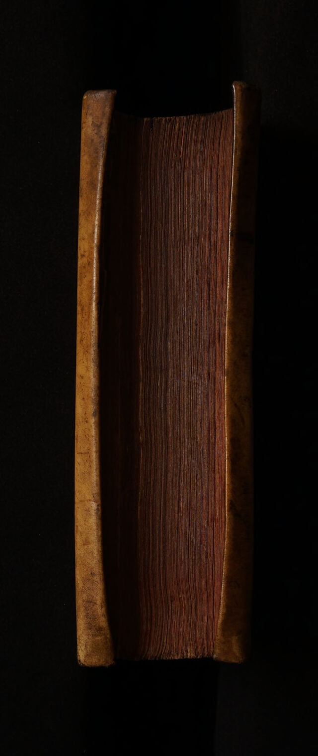 digitised image 3