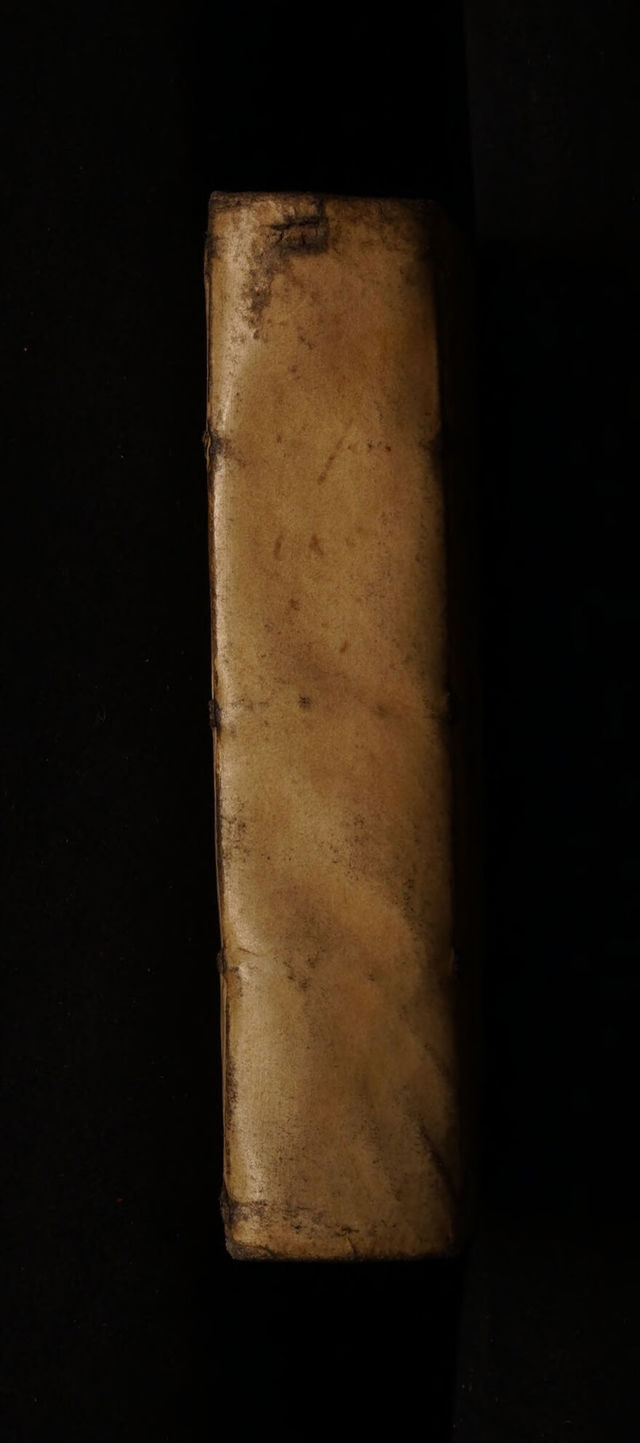 digitised image 2