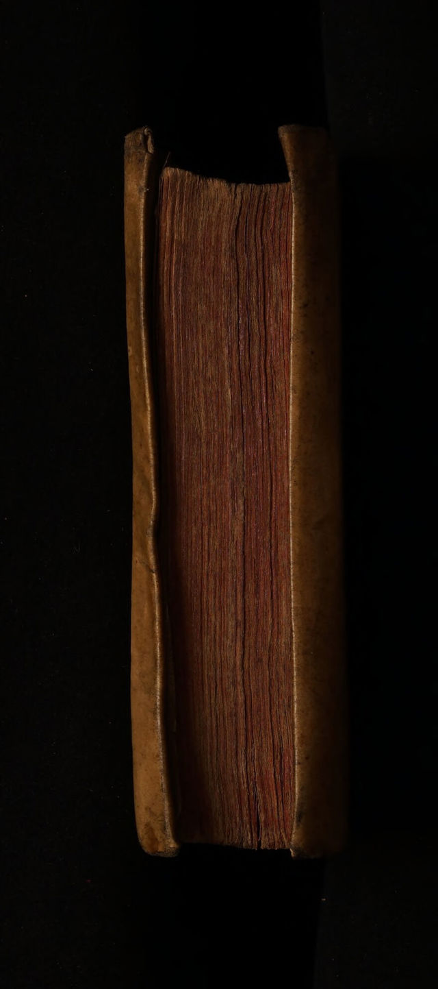 digitised image 3