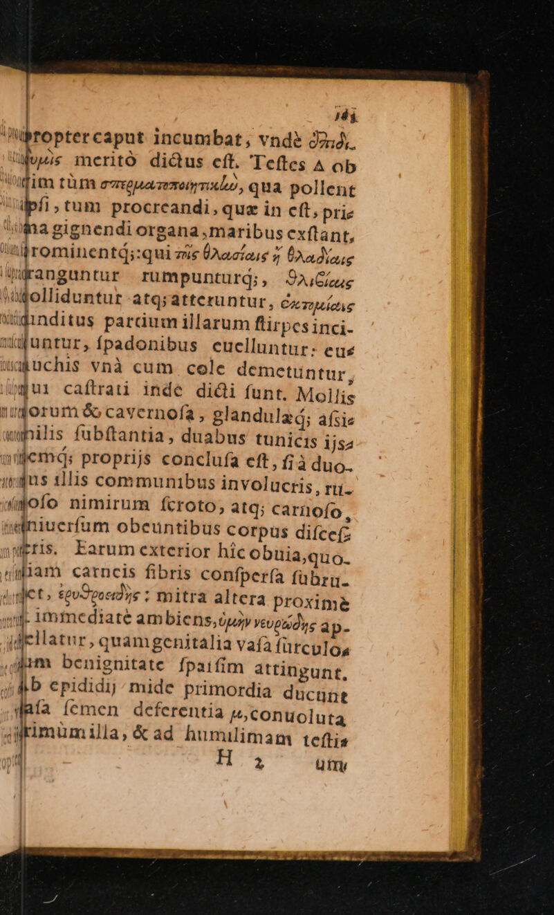 | ji Nproptercaput incumbat, vndà d2;4,. bw merito di&amp;us cft. Teftes ^ ob Vufim tüm ezguazezenmxho, qua pollent ipfi;tum procreandi, quz in cft, prie ^om agignendi organa maribus exftant, /Itilhrominentd;:qui zis (lactose 7 diu ijrangantur rumpunturq;, Jo;Guug »ogfolliduntur atq;atteruntur, C2 TUMÁGAS Wüdinditus parum illarum flirpesinci- duntur, fpadonibus cuclluntur: eus wapuchis vnà cum. cole demetuntur, (ui caftrati inde didi funt. Moilis wris. Earum exterior híc obuia,quo. «miam carncis fibris confper(ía fübru- diet» £euSvoedzs ; mitra altera proxime 1j- 1nmediaté ambiens,óusy VEUpGidss dp. jjellatur, quamgenitalia vafa fürculo, ,üm benignitate fpaifim attingunt, Rb cpididij; mide primordia ducunt laía (cmen deferentia I5 conuoluta | rat Í b T s^ d il K *-  e M MÀ —Ée WU METÀ BIER iras