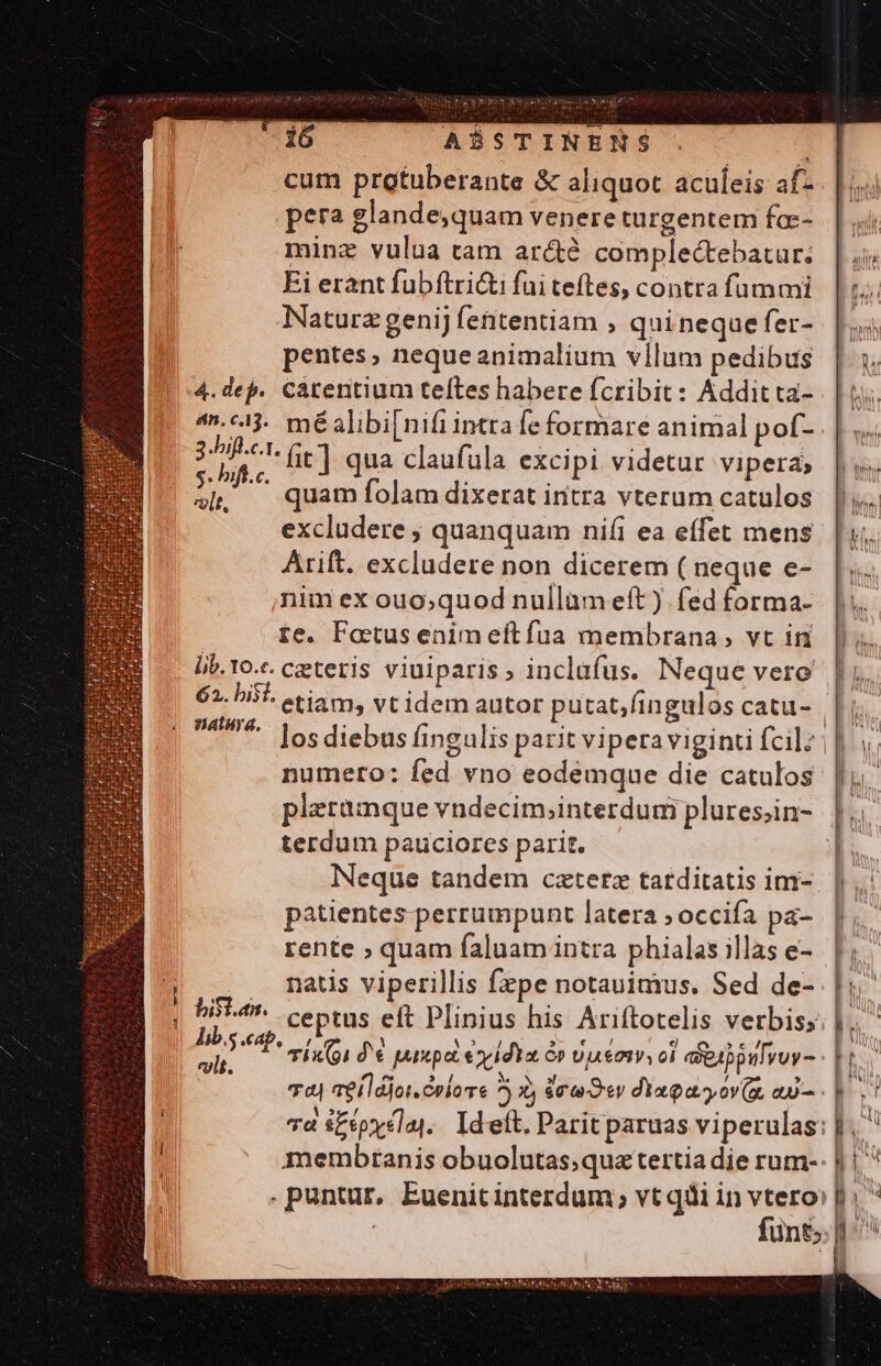 -16 ASSTINENS cum protuberante &amp; aliquot aculeis af- pera glande,quam venereturgentem fae-. | minz vulua tam ar&amp;é complectebatar. |. Ei erant fubítri&amp; fui teftes, contrafümmi. | 5; Naturzgenij fententiam , quinequefer-. |. pentes, nequeanimalium vllum pedibus | 5. 4.dep. carentium teftes habere fcribit: Additta- | | : a». méalibi[nifiintrafe formare animal pof- . | ... SPA fit] qua claufula excipi videtur vipera» | v. $i, X quamfolam dixerat intra vterum catulos. ||... excludere ; quanquam nifi ea effet mens | | y... Arift. excludere non dicerem ( neque e- nim ex ouo;quod nullam eft) fedforma- |. re. Factus enim eftfua membrana, vt in. |). lib. Yo.c. ceteris viuiparis, inclafus. Neque vero | 62. bist. etiam, vt idem autor putat;fingulos catu- | 4^ losdiebus fingulis parit vipera viginti fcil: || numero: fed vno eodemque die catulos | pleramque vndecim;interdumi plures;in- |. terdum pauciores parit. | Neque tandem cztetz tatditatis ini- patientes perrumpunt latera ; occifa pa- rente ; quam faluam intra phialasillas e-. |; |j, mats viperillis fepe notauimus. Sed de- |; | hi4» ceptus eft Plinius his Ariftotelis verbiss n Ee TÍx(o) d'€ prepa exidia &amp;» Uo, ol asa pulvuy- n | 44 Tei ldjoi. Colore 7) 3) 4r 9«v diapayov(m e) M si Td SEtpyclaj,. Ideft. Parit paruas viperulas: l i membranis obuolutas;quatertia die rum-: | | ^ .puntur, Euenitinterdum vt qdi in vtero» [i  funt; l^