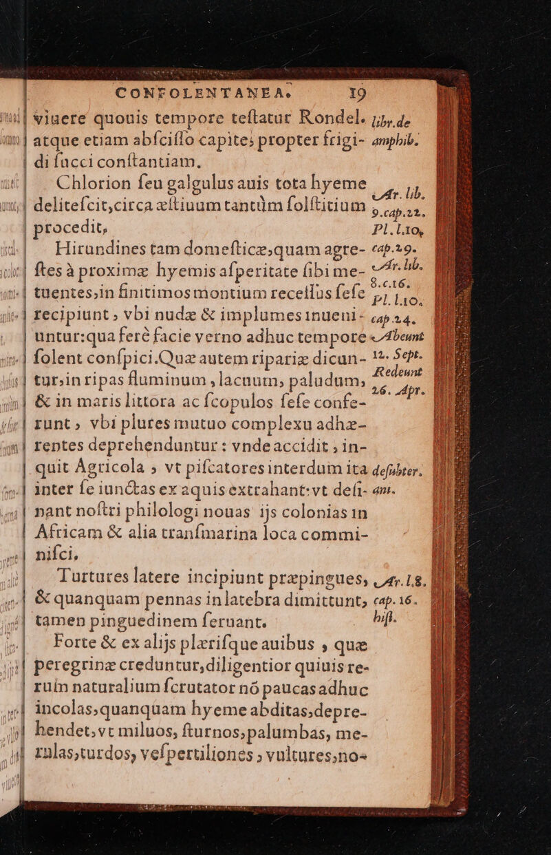 /i| viuere quouis tempore teftatur Rondel. jj, 2. omm ] 1e etiam abíciflo capite: propter frigi- ampbib. | atque phesprep Bi ep ad] di facci conítantiam. Chlorion feu galgulusauis tota hyeme 9 Tm | delitefcit,circa zítiuum tantüdlm folfticium M | procedit, Pl.ti0 .| Hirandinestam domeftice;quam agre- cap.*9. pit] ftesà proxime hyemis afperitate fibi me- chr. lib. j| tuentes;in finitimos montium recellus fefe p | recipiunt ; vbi nude &amp; implumesinueni- PR | untur:qua feré facie verno adhuc tempore &amp;4bet | | | folent confpici.Quz autem ripariz dicun- !*- 54P*- Redeunt 26. Jdpt. 3 (5| tubinripas fluminum , lacnum; paludum; m ;| &amp; in maris littora ac fcopulos fefe confe- | runt» vbi plures mutuo complexu adhz- 1| rentes deprehenduntur : vndeaccidit ; in- T | quit Agricola ; vt pifcatoresinterdum ita defgbrer. [IBI | inter feiunctasexaquisextrahantvt de(i- o». — Bi nant noftri philologi nouas: ijs colonias in | Africam &amp; alia tranfmarina loca commi- nifci, n Turtutes latere incipiunt prepingues, |. 18. IRR ,,| &amp; quanquam pennas inlatebra dimittunt, p.16. EM || tamen pinguedinem feruant. bi. | Forte&amp; ex alijs plerifqueauibus , que 9| peregrinz creduntur, diligentior quiuis re- . | ruin naturalium fcrutator nó paucasadhuc ;| incolasquanquam hyeme abditas;depre- i| hendet; vt miluos, fturnos;palumbas, me- jj znlas;turdos; vefpertiliones ; vultures;no« al :|