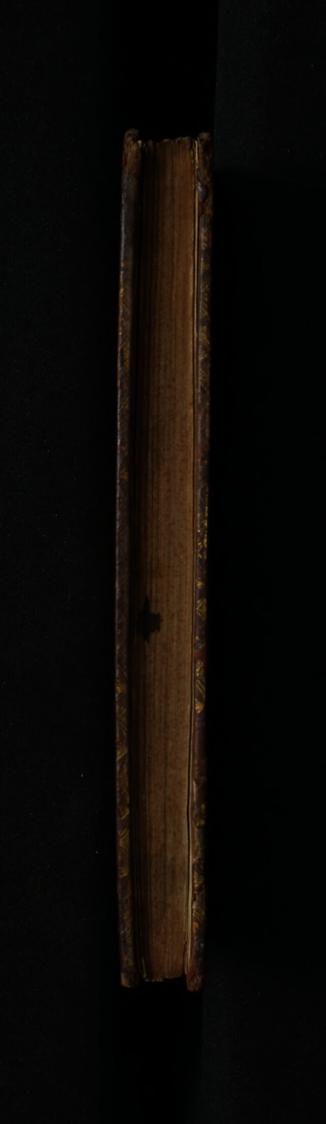 No text description is available for this image