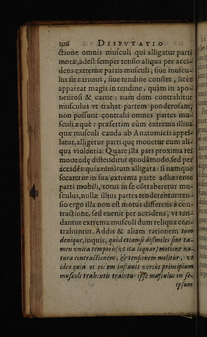 í— x: lusfic carneus ; fiuetendine conftet ; licég mufculus vt trahat: partem ponderofam; | Ículizque : prafertim cüm extremia illitis.| áccidés:quianimirarn alligata: fi namque | fecaxetürin füa/extremia parte adharente | fculus,nullz illius partes cendetenturiten- idea quim os eocem inf auti versns primipinm muet trabiutis trabitur ipfe mufeulgs vn fes ipfum | fae ltr