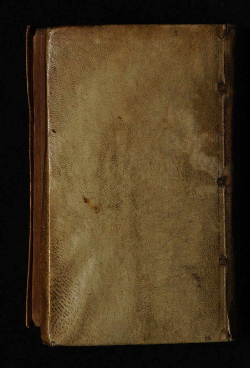 No text description is available for this image