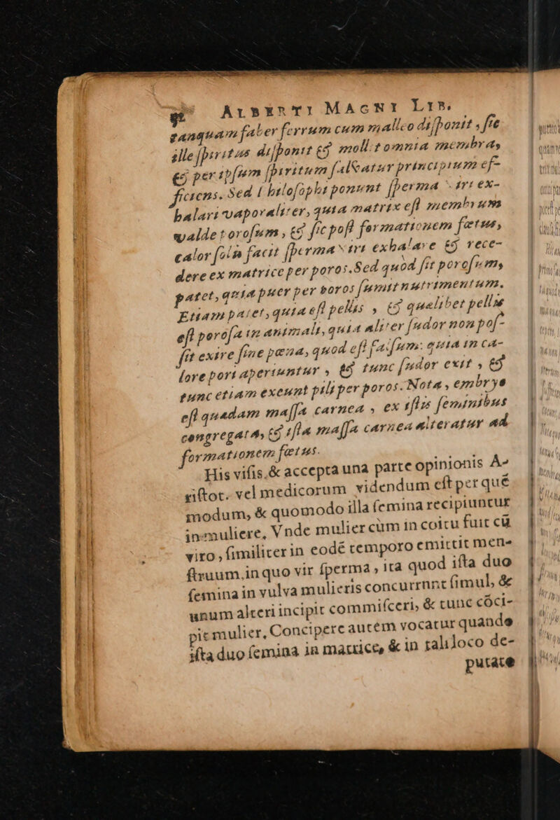 Arsexn T: MAGNI Lis. aber ferrum cum z;Allco difpontt fe € pert um fpiritum f4leatz rprincipium ef- vens. Sed [ bilofog bs ponunt fpe mamex- balar: vaporalt'er, 3A matrix efl puemhi um valde torofum , eg fic pofl fe! nationem fetus, calor oin fncit I rmt exba'a: e £j rece- dere ex matrice per poro s. Sed 40d fit por of. my 3 p^ quis puer peu poros [wmtt nur 1meutaum. Etiam patet quia efl pelüs , 65 queli bet pell eft perofa in antmalt, quis lier [mdor non pof fft exire fine pena, quod eff fadfmm: quta I2 CA- abertentur , (6 func [«dor exit» 65 [ore port 4j tunc etiam exeunt pili per poros. Nota , ezabr yo ef quadam ma[J4 caArYAHCA , €X rfl fevumihus cengregat ^s ed tfla maja carnea ulreratur ad ormationem [ess His vifis.&amp; accepta una parte opinionis A^ £iftoc. vel medicorum videndum cft pet qué &amp; quomodo illa femina recipiuntur modum; de mulier cüm in coicu fuit cü in muliere, Vn viro , fimilicerin eodé cemporo emirctit mere ftruum.in quo vir perma , ita quod ifta duo femmina in vulva mulieris concurrnrt (imul &amp; unum alceri incipit commifceri, &amp; tunc cóci- 5t mulier, Concipere autem vocatur quande ifta duo femina ia matrice, &amp; in taliloco de- putate