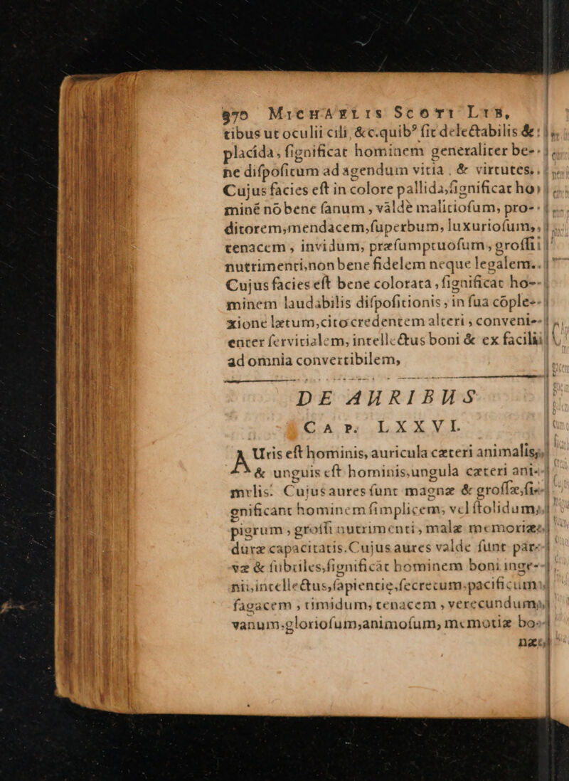 — arsi rm LM LL  975 MicHAxrIS SCOTI Lt15, lacida. fignificat 1 hominem generalicer be- nutrimenti, nonbene fidelem n« E ue legalem. Cujus facies eft bene colorata , fignificat ho- xione latum,cito credentem alteri ; convent ad omnia convertibilem, DE AHRIBHS LA P2 .15X X VUL y tee eft hominis, auricula ceteri animalis; &amp; unguis cft hominis, ungula cateri ant. mrlis Cujusauresfunt magnae &amp; grofíz, fi enificant homincr ifimplicem; vcl ftolid um, a EE apacitatis.Cujus aures valde funt par: »2 &amp; fübiülesfignificat hominem boni inge- Miicidcelle bus apleniio dr tititameació Cc vanum:gloriofum;animoíum, m«motiz bo: